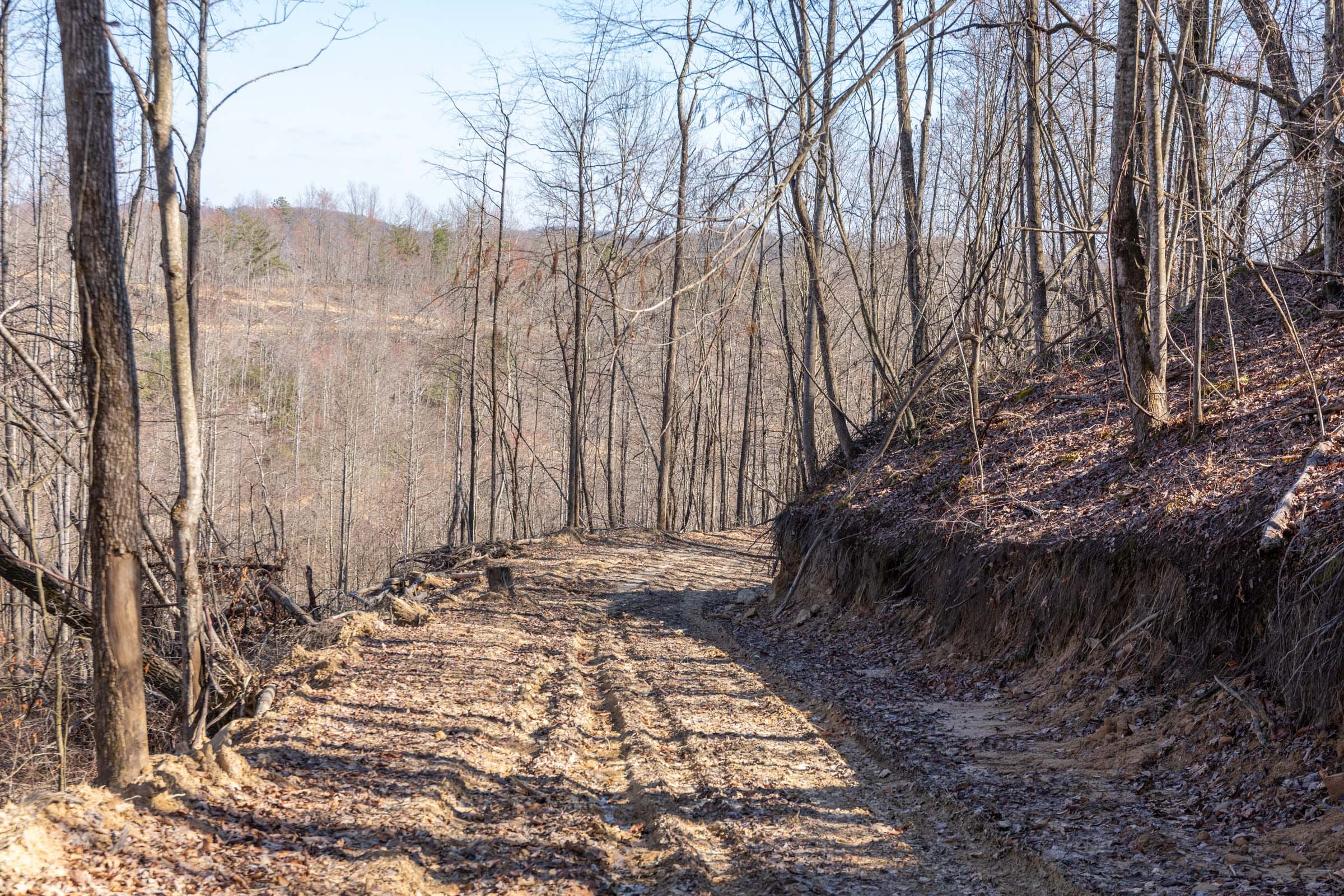 Creek Hollow Phase I Tract 9 photo 7