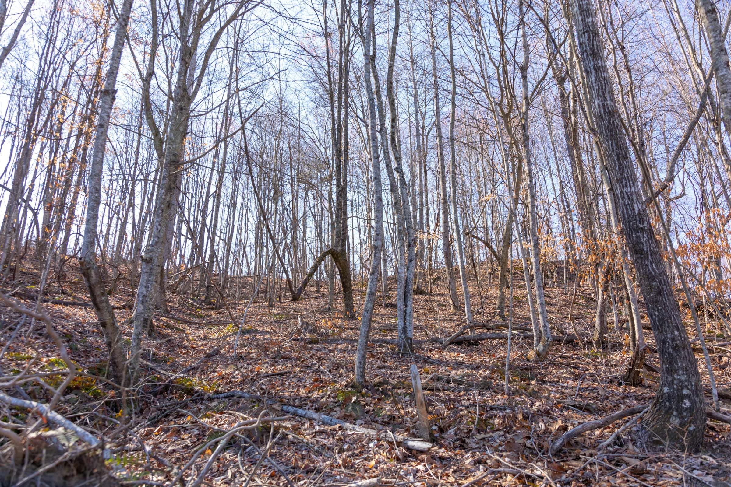 Creek Hollow Phase I Tract 9 photo 8