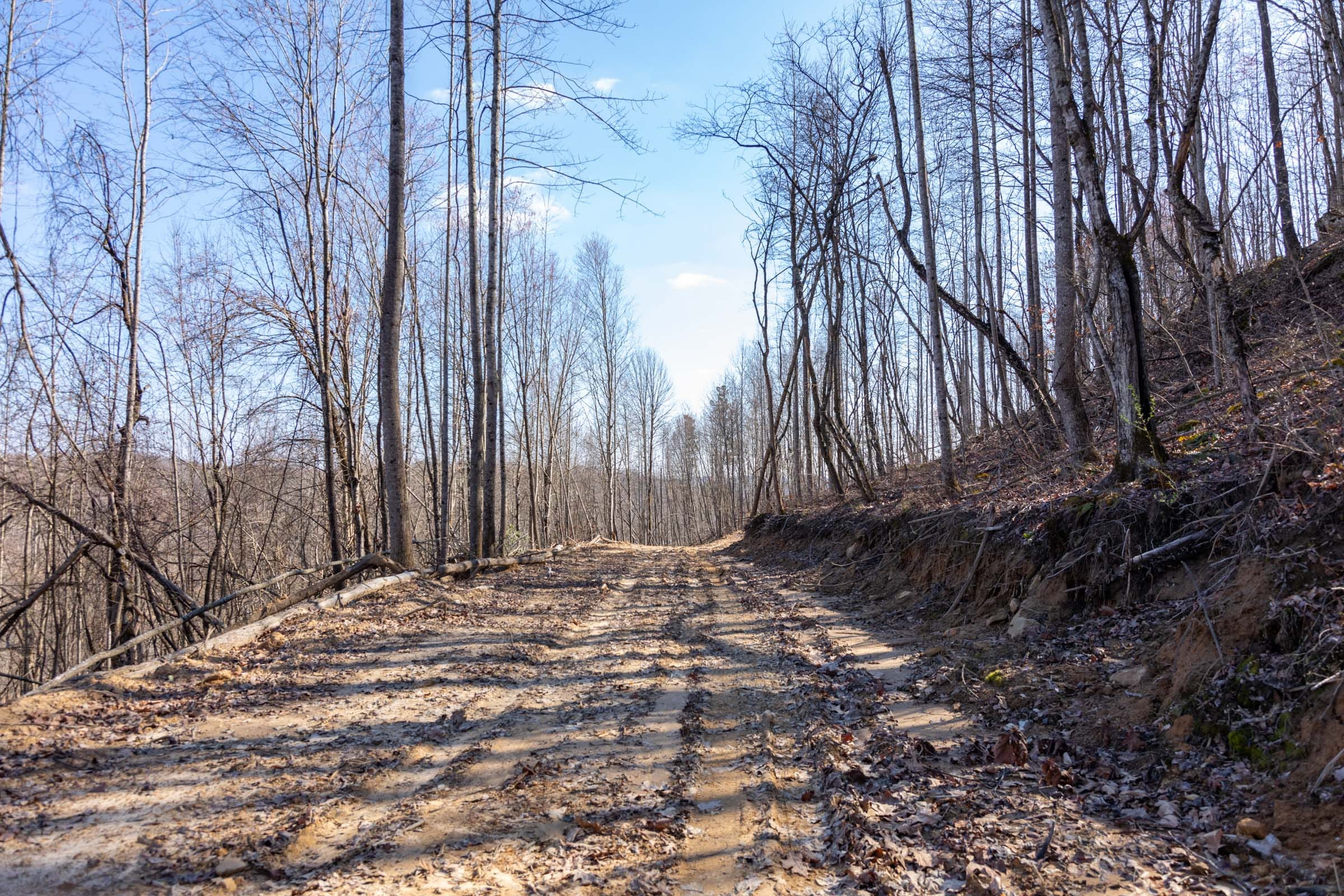 Creek Hollow Phase I Tract 9 photo 9