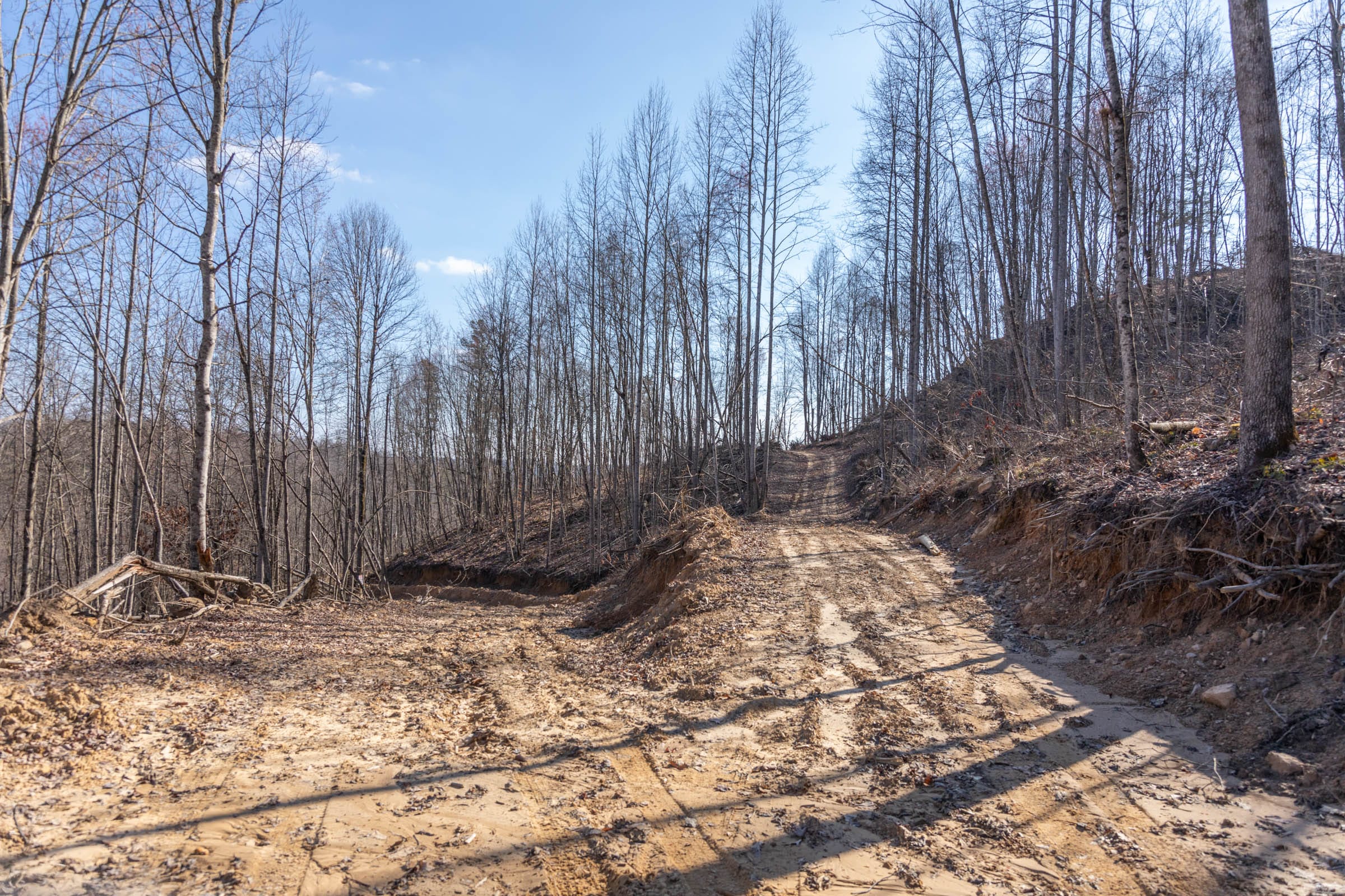 Creek Hollow Phase I Tract 9 photo 11