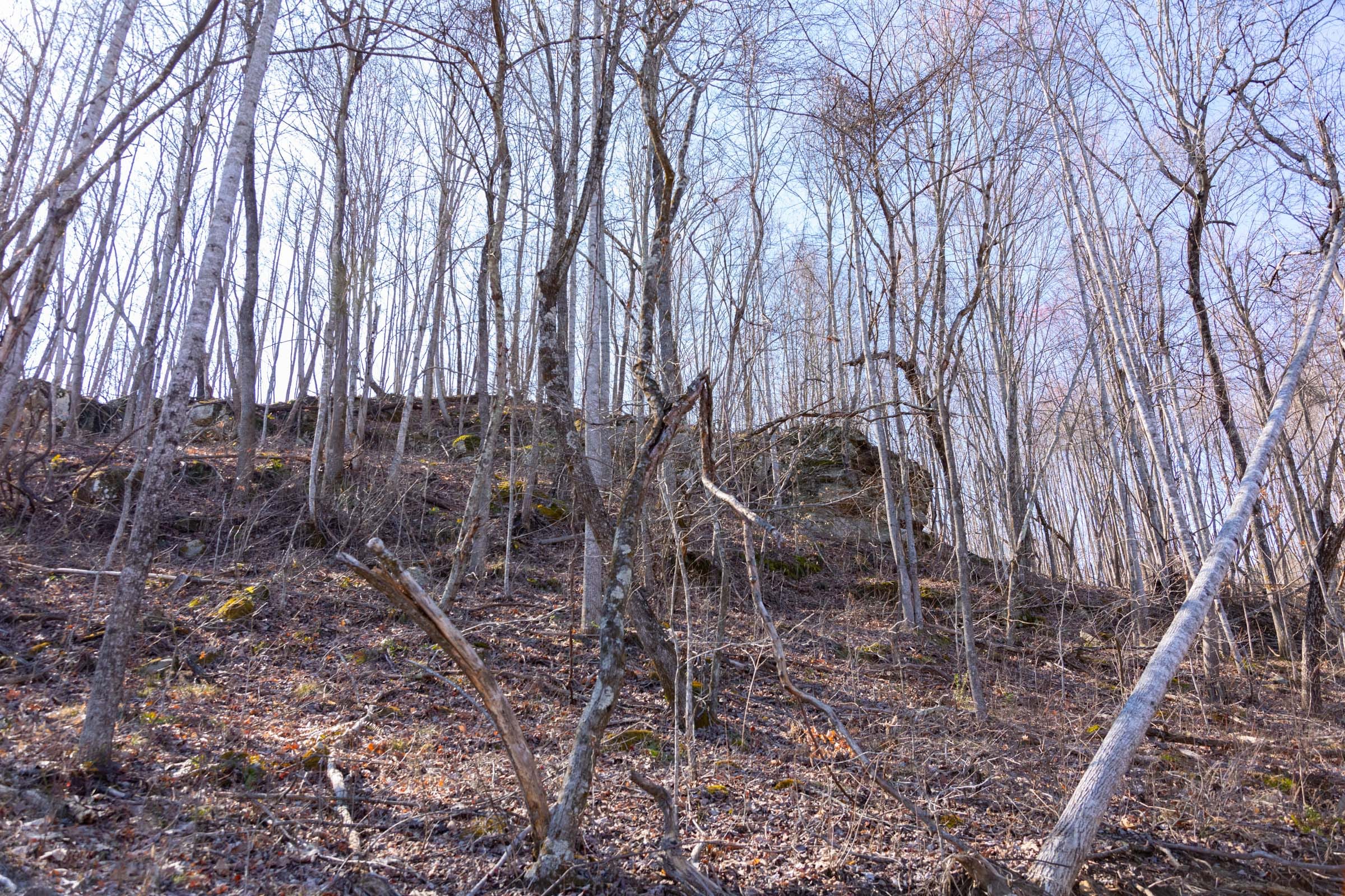 Creek Hollow Phase I Tract 9 photo 10