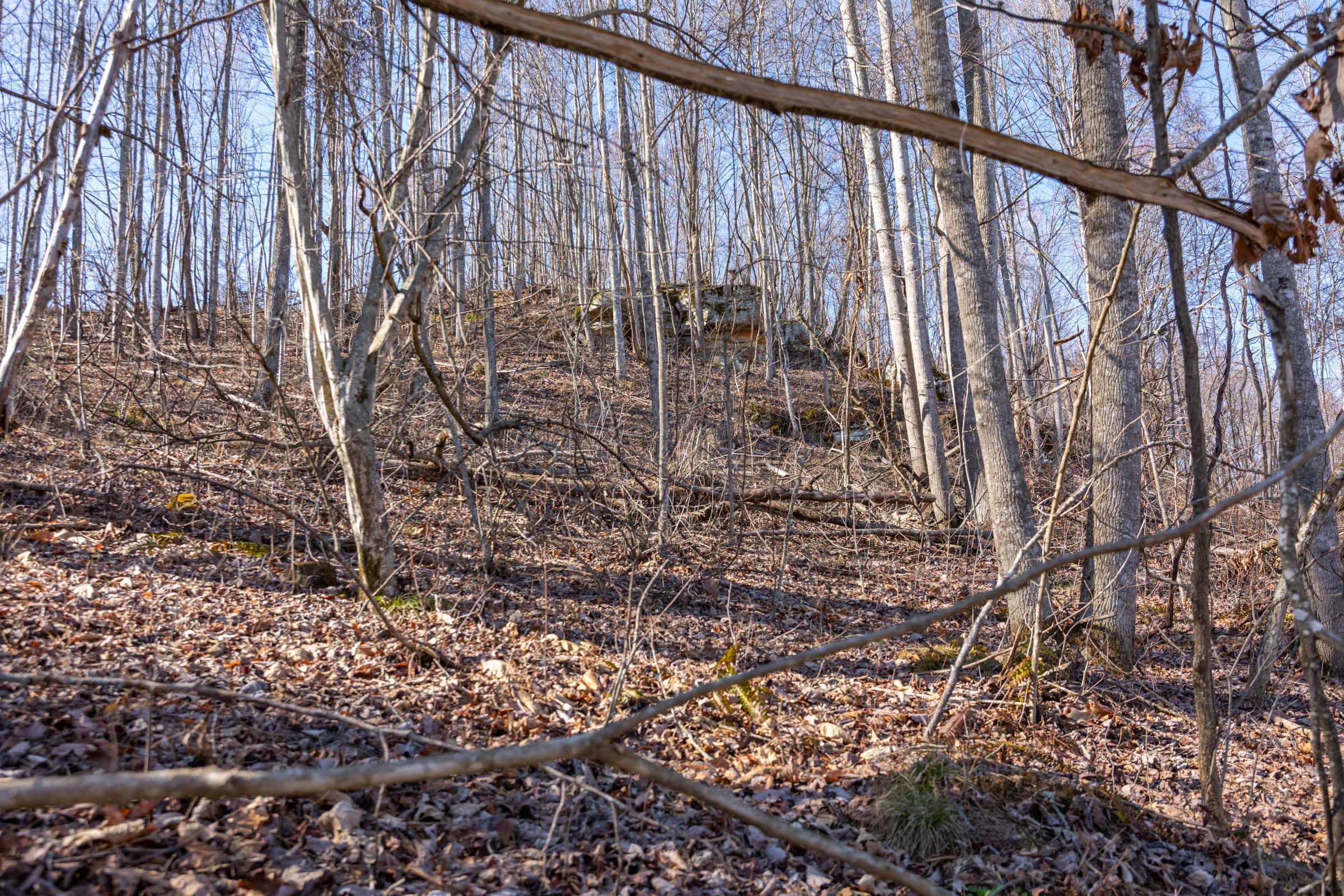 Creek Hollow Phase I Tract 9 photo 12