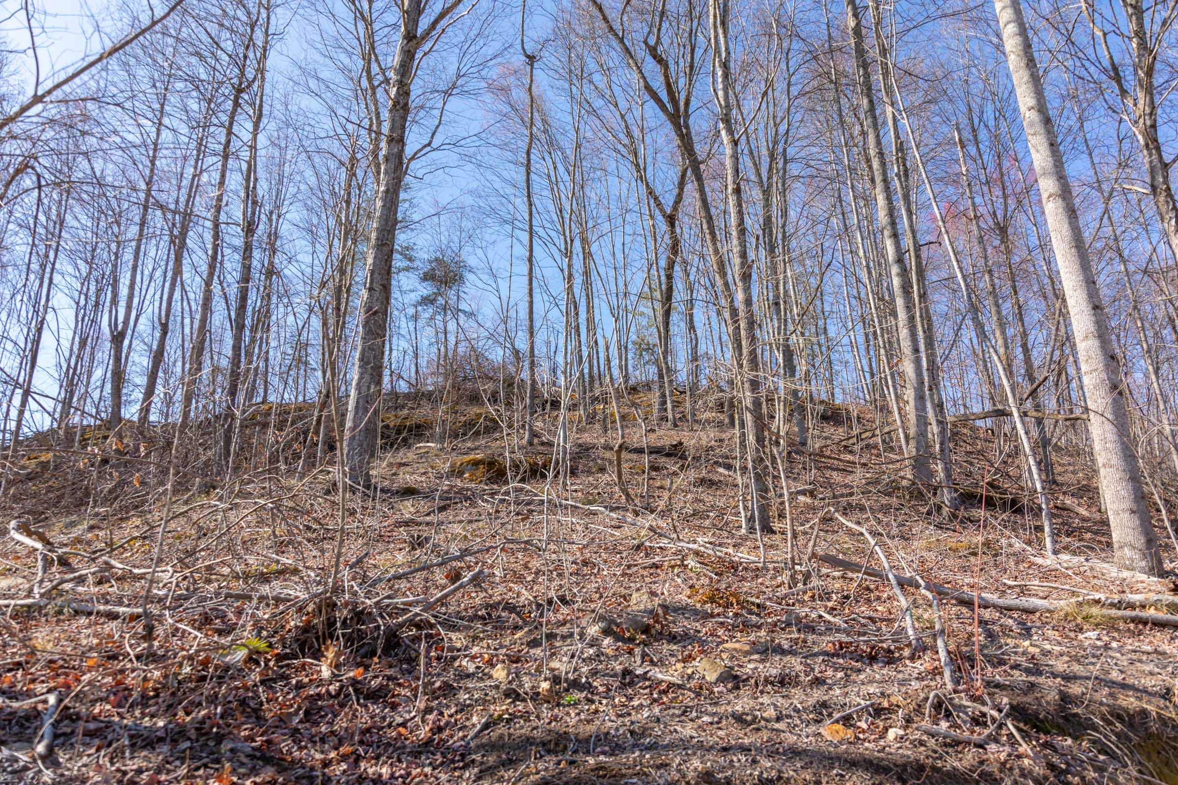 Creek Hollow Phase I Tract 9 photo 14
