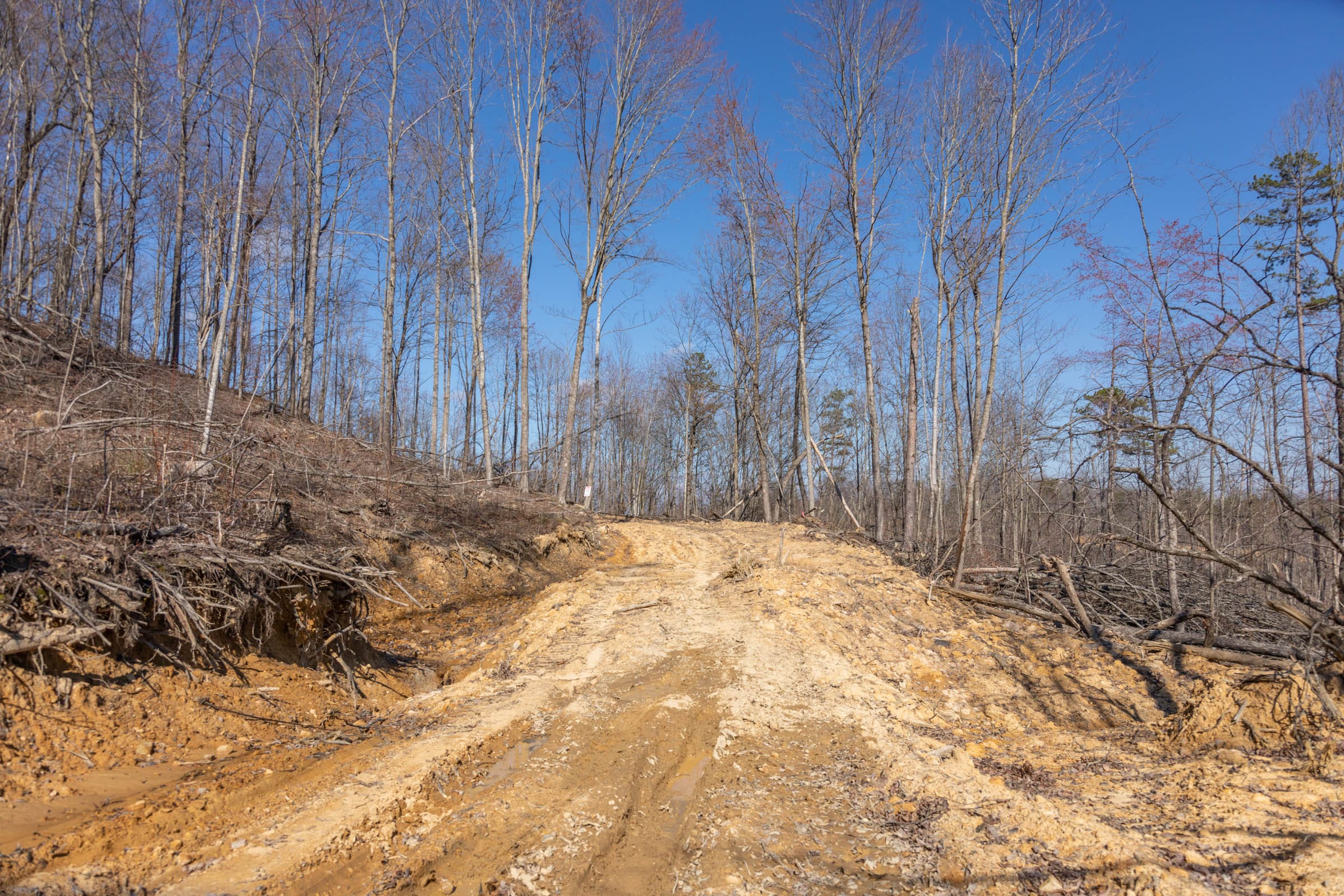 Creek Hollow Phase I Tract 9 photo 13