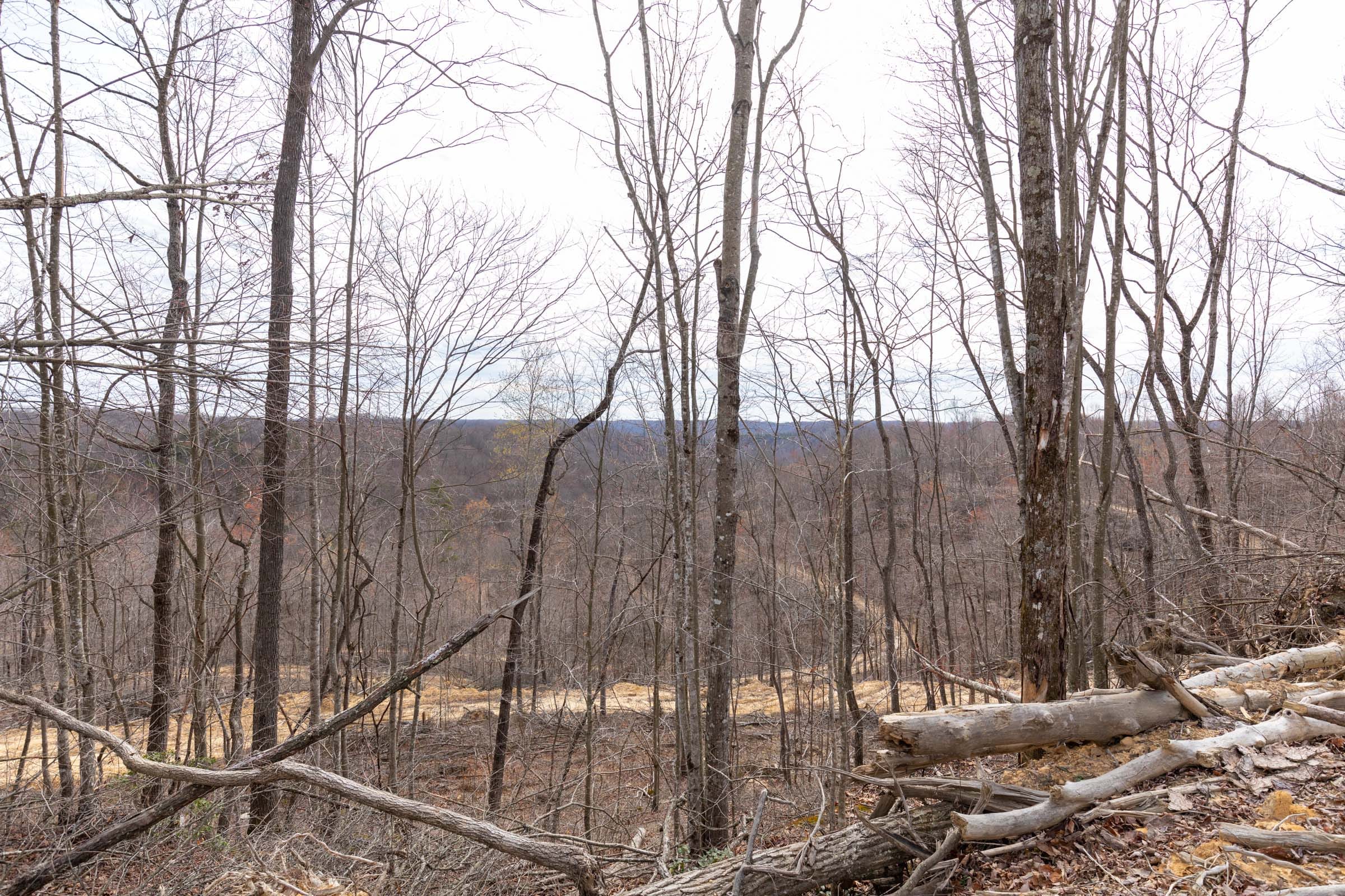 Creek Hollow Phase I Tract 9 photo 15