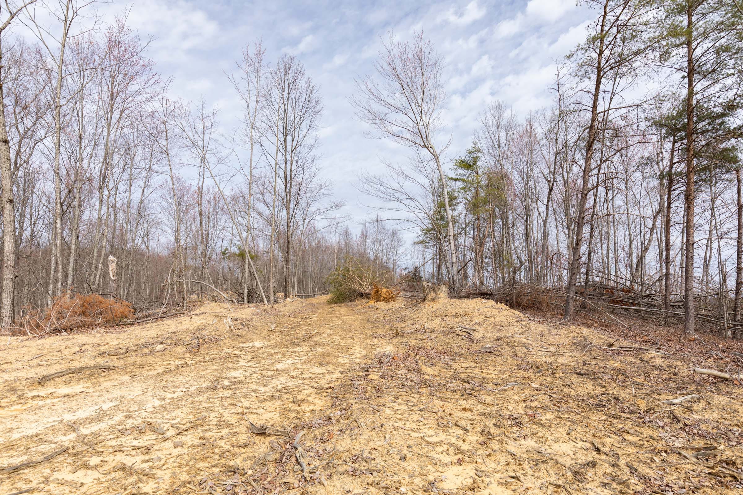 Creek Hollow Phase I Tract 9 photo 16