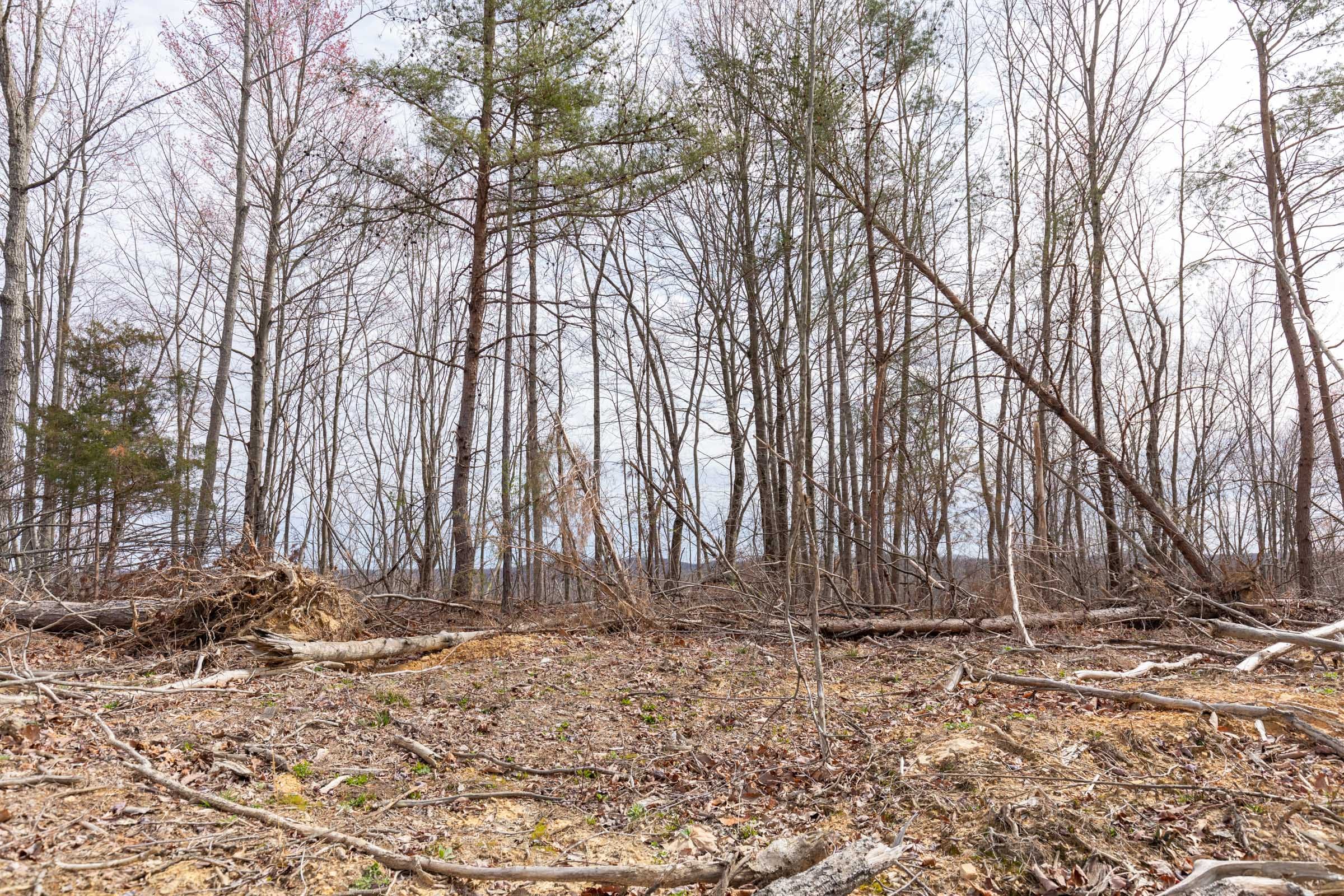 Creek Hollow Phase I Tract 9 photo 17