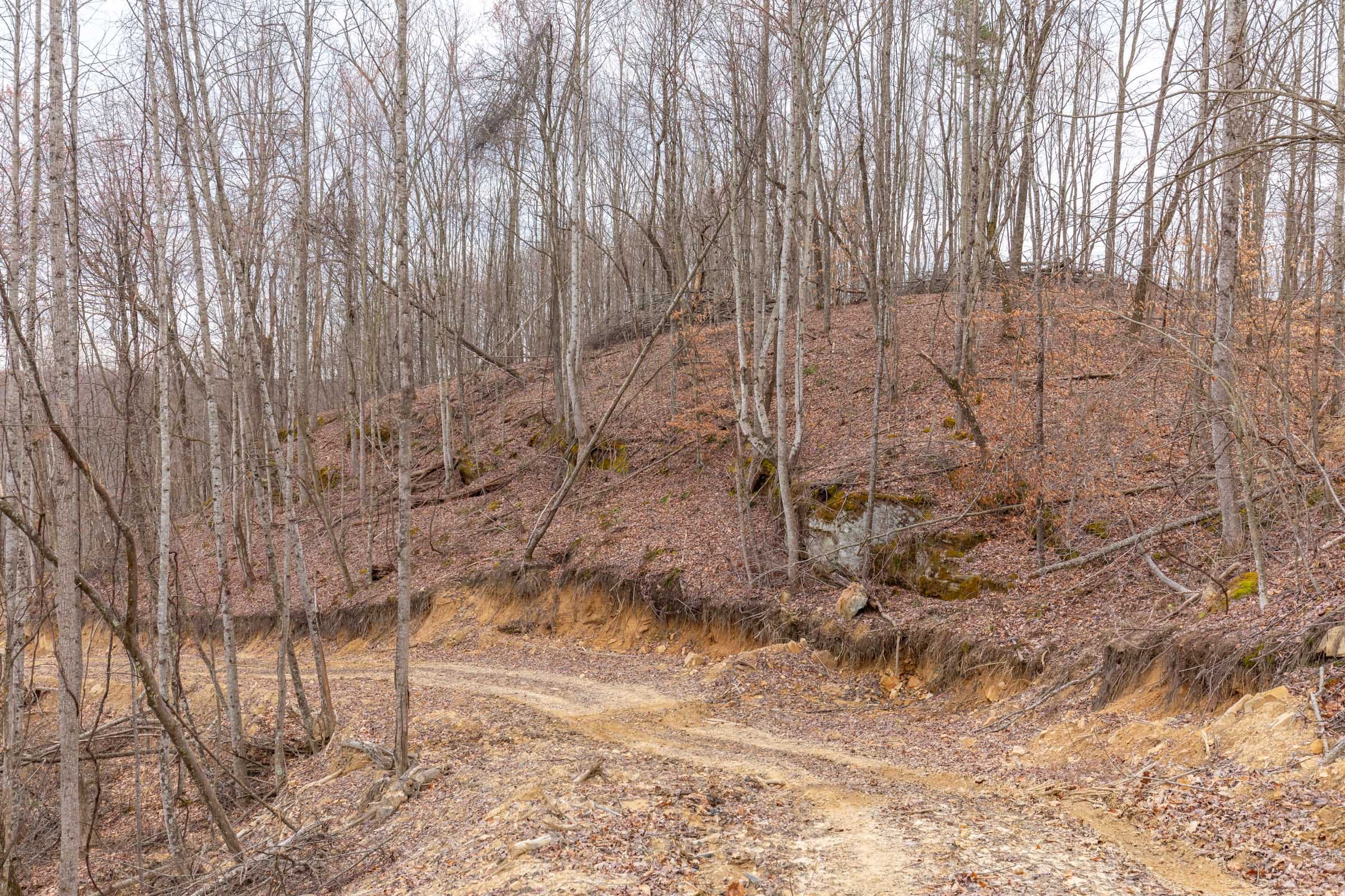Creek Hollow Phase I Tract 9 photo 21