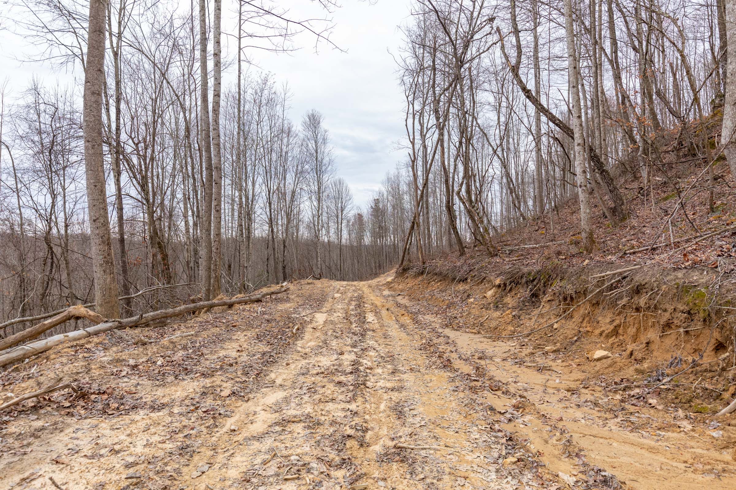Creek Hollow Phase I Tract 9 photo 23