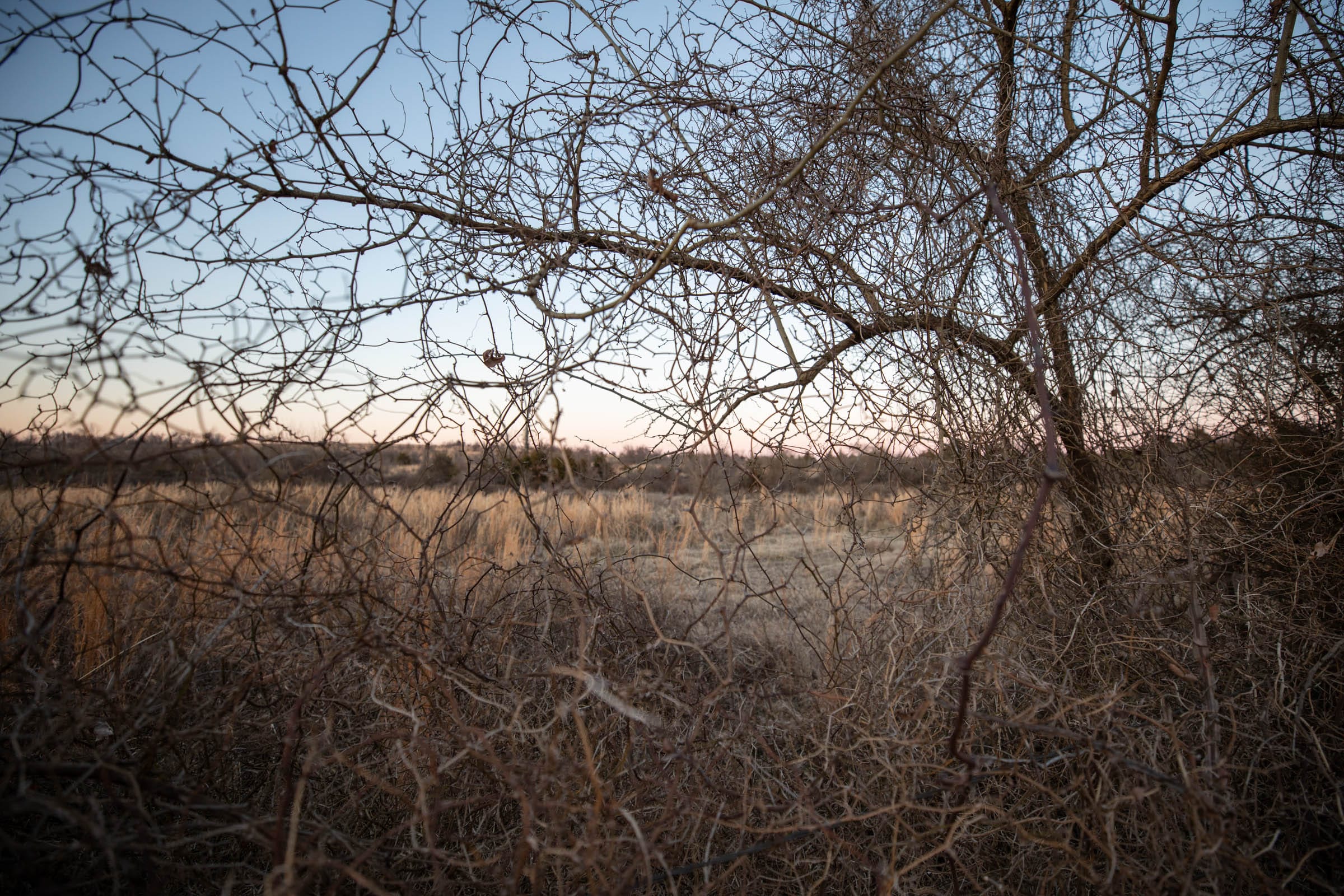Painted Horse Tract 7 photo 7