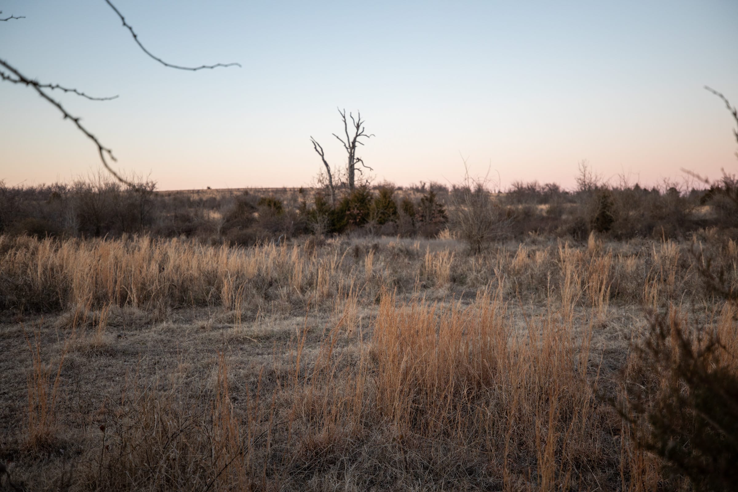 Painted Horse Tract 7 photo 6
