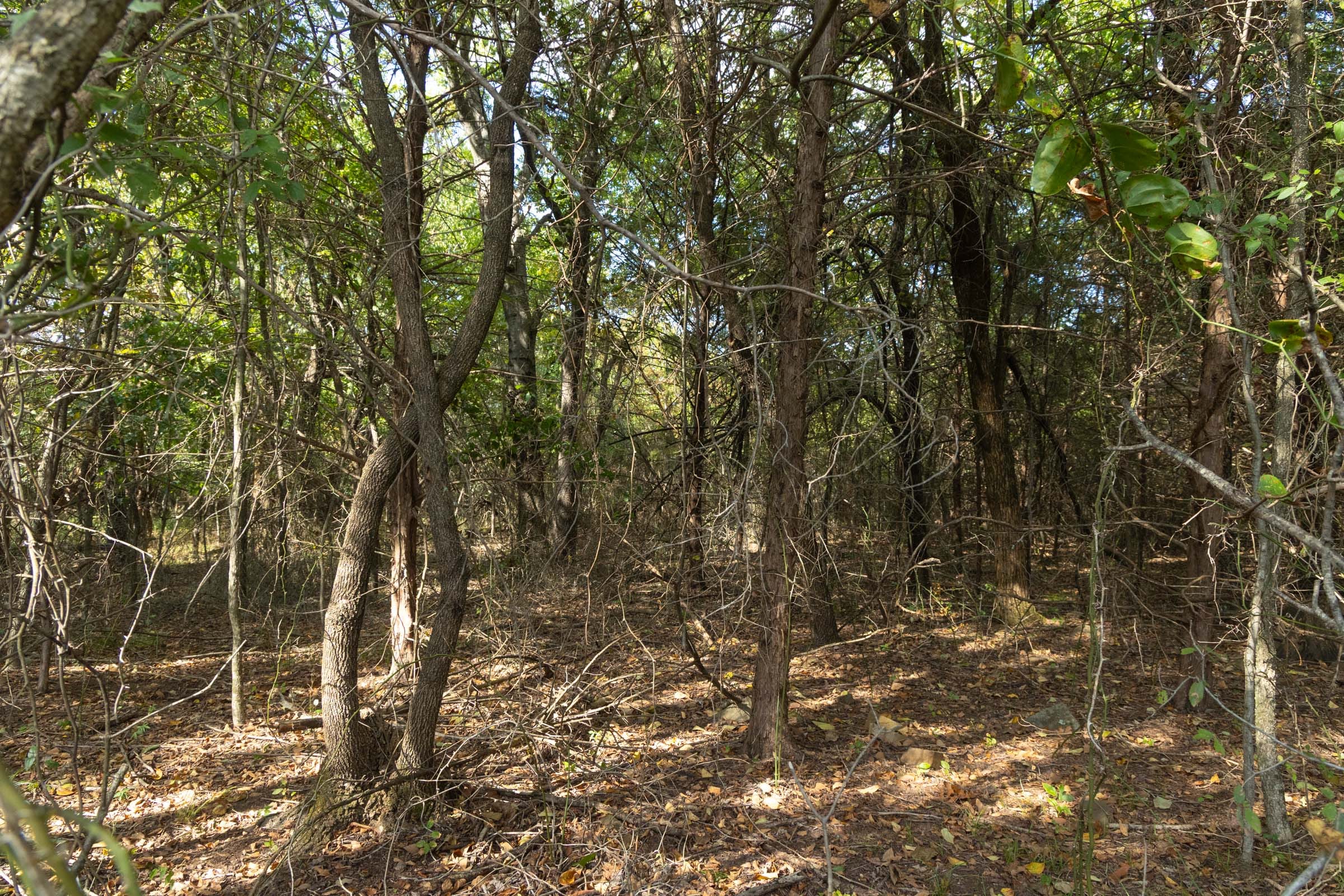 Reserves At Cattail Cove Phase II Tract 83 photo 12