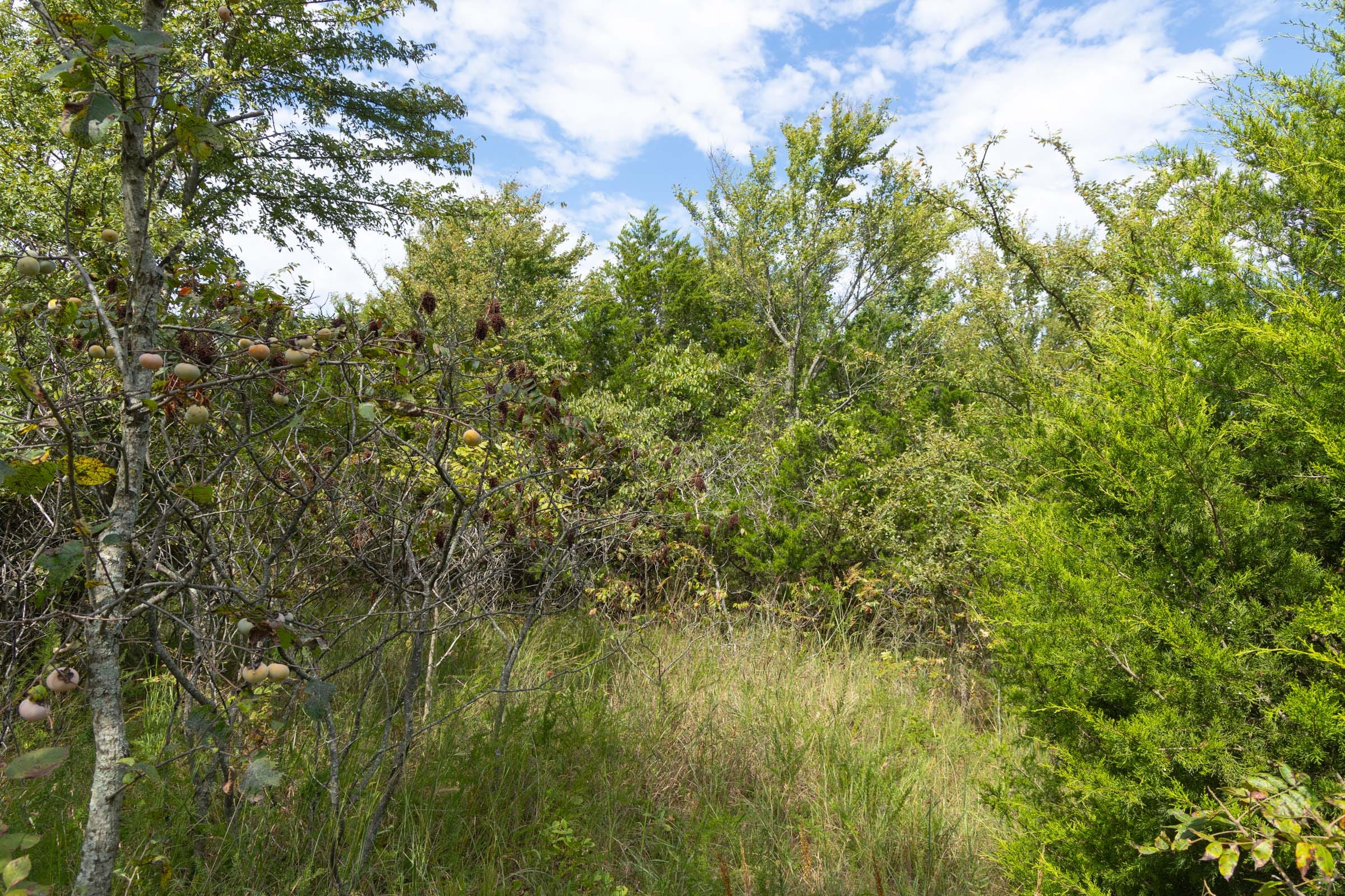 Reserves At Cattail Cove Phase II Tract 83 photo 11