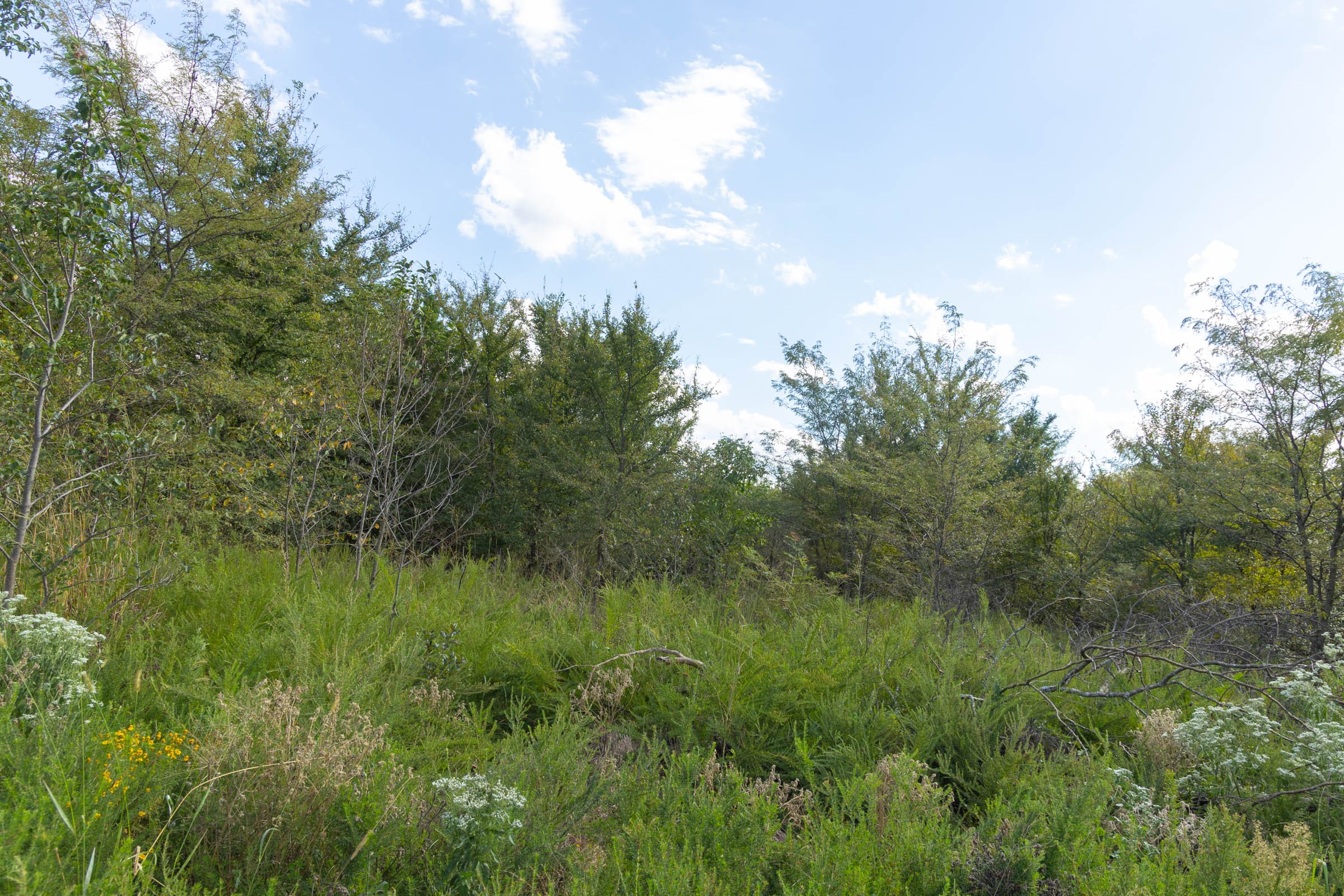 Reserves At Cattail Cove Phase II Tract 83 photo 10