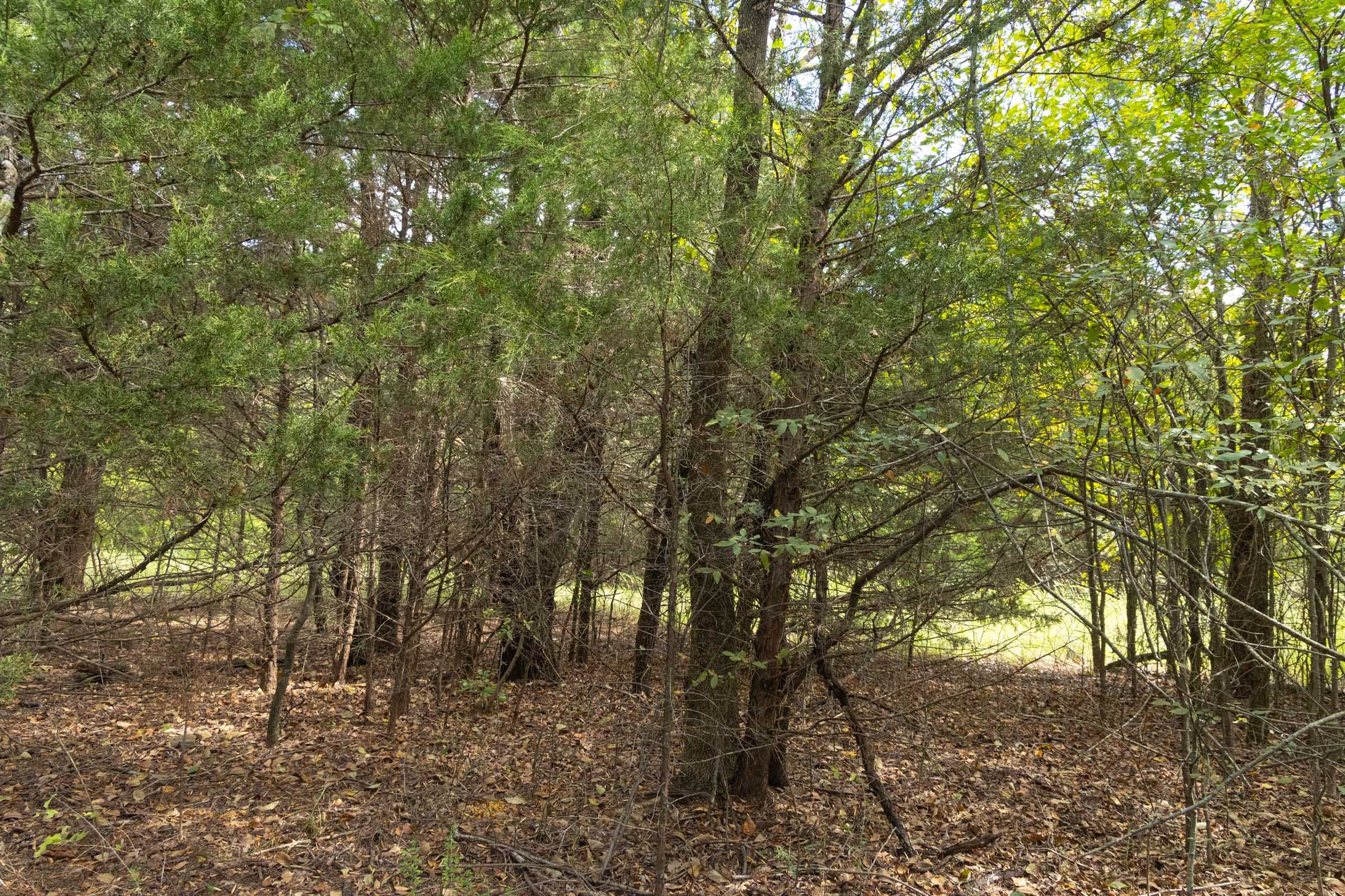 Reserves At Cattail Cove Phase II Tract 83 photo 9