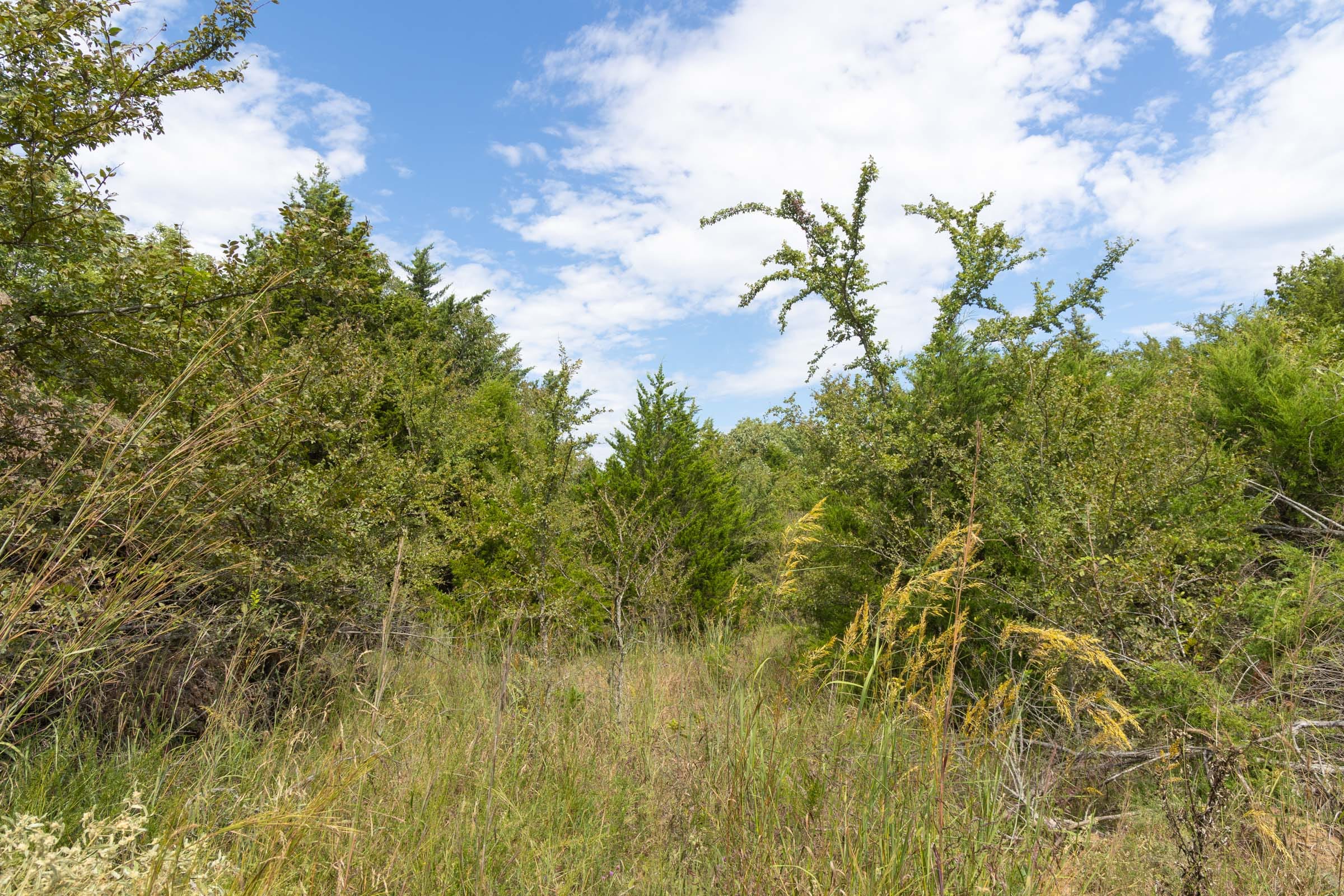 Reserves At Cattail Cove Phase II Tract 83 photo 8
