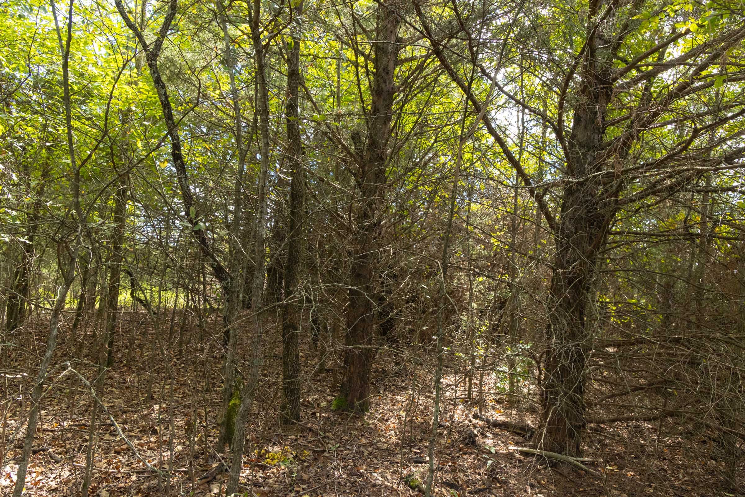 Reserves At Cattail Cove Phase II Tract 83 photo 7