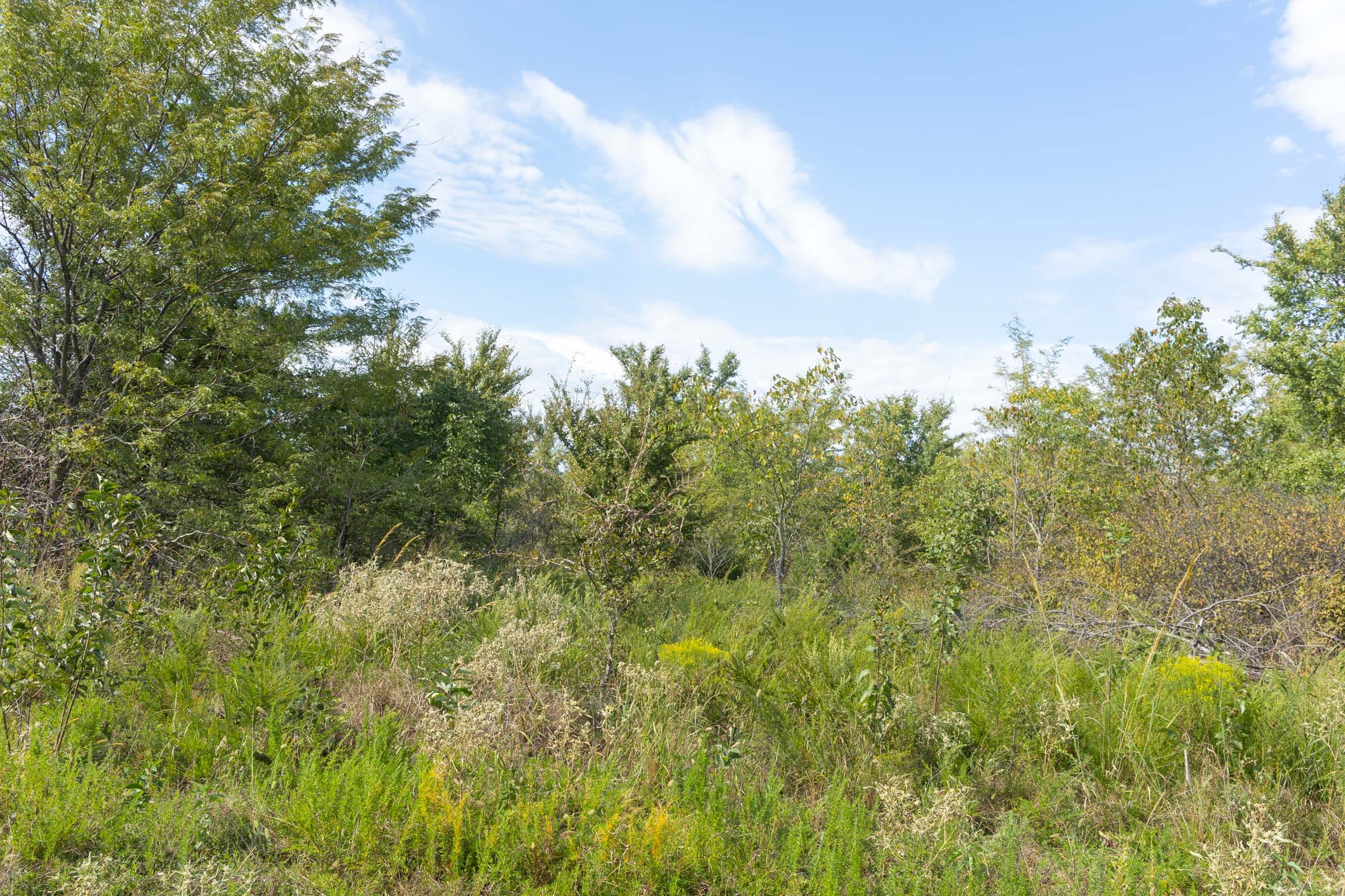 Reserves At Cattail Cove Phase II Tract 83 photo 5
