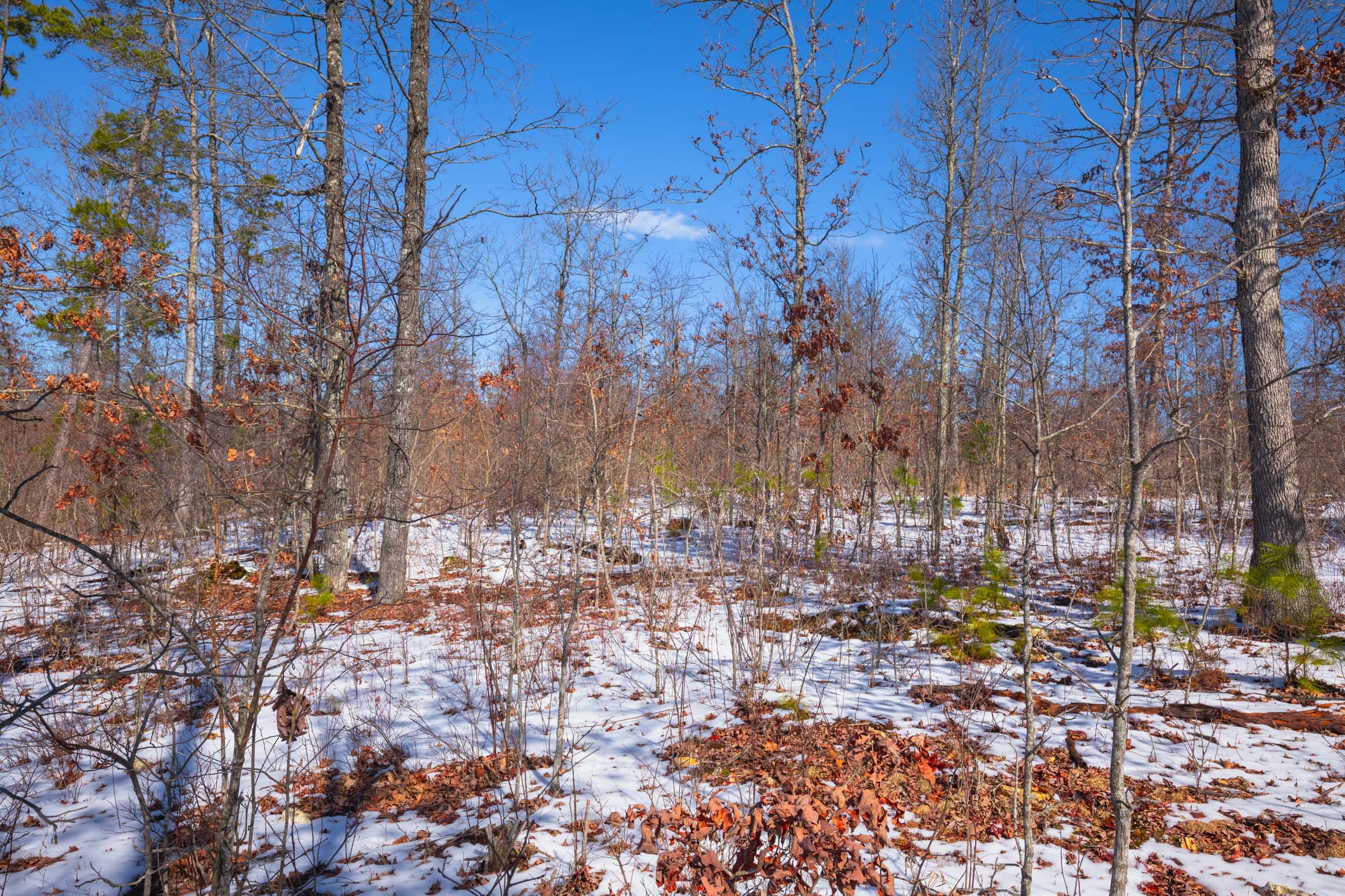 Sleepy Hollow Phase I Tract 39 photo 4
