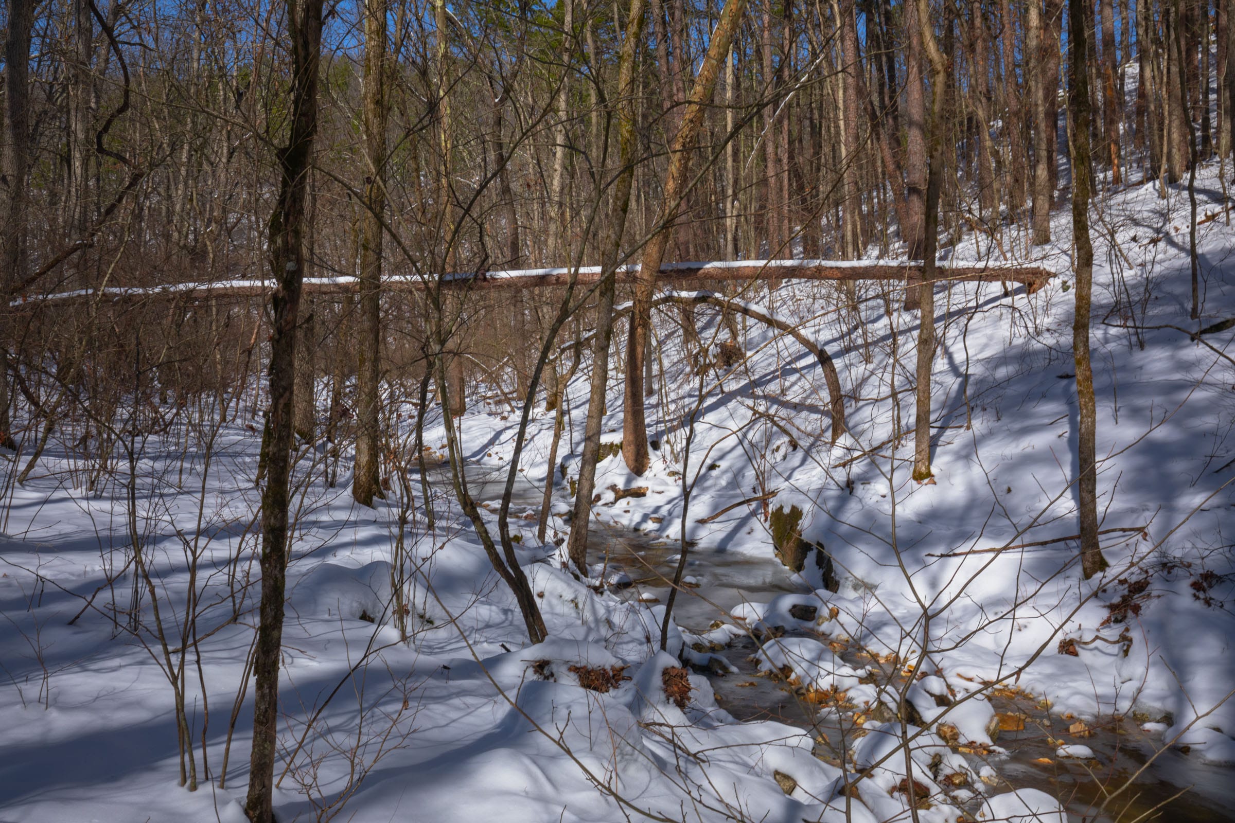 Sleepy Hollow Phase I Tract 39 photo 6