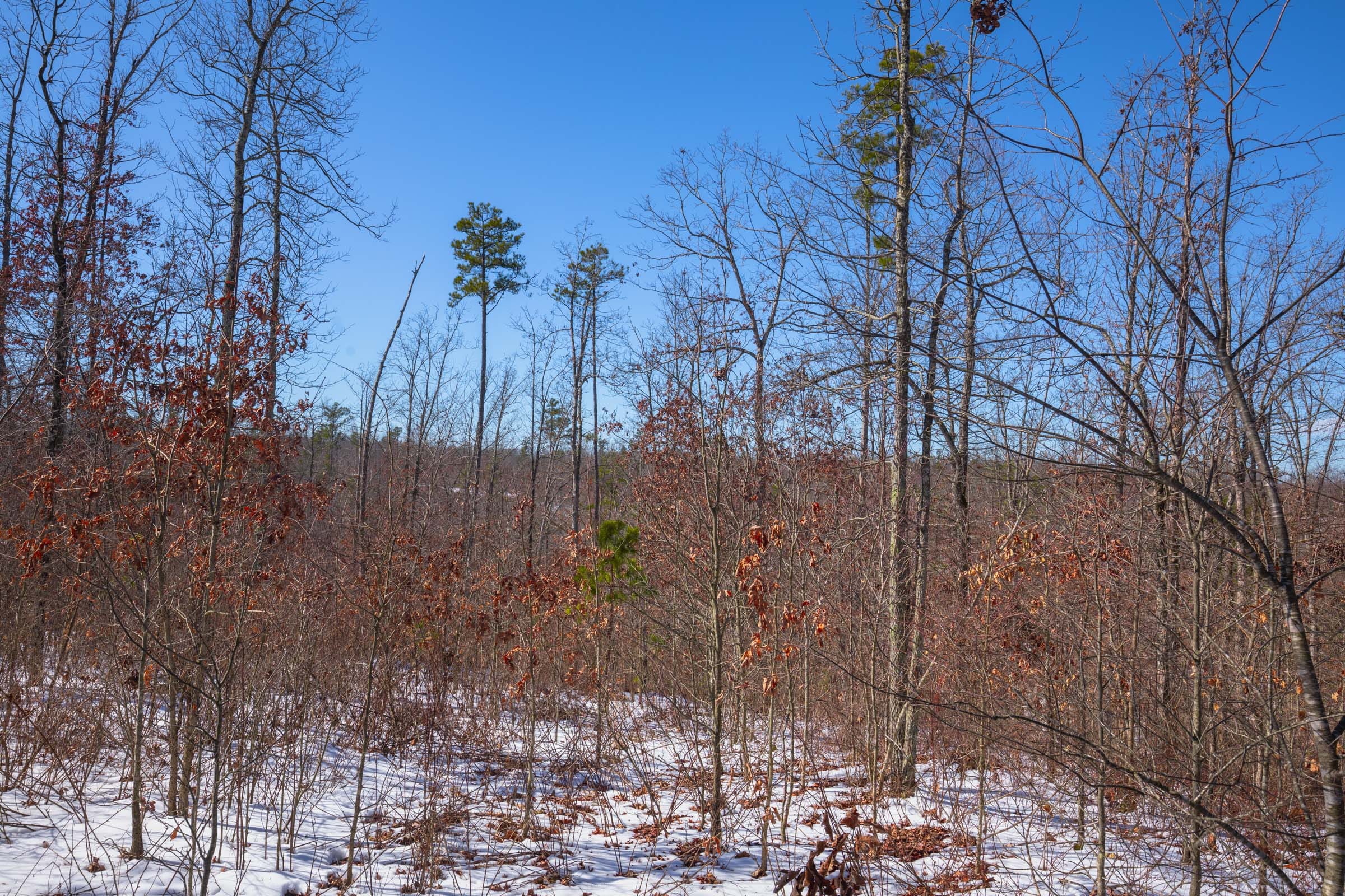 Sleepy Hollow Phase I Tract 39 photo 1