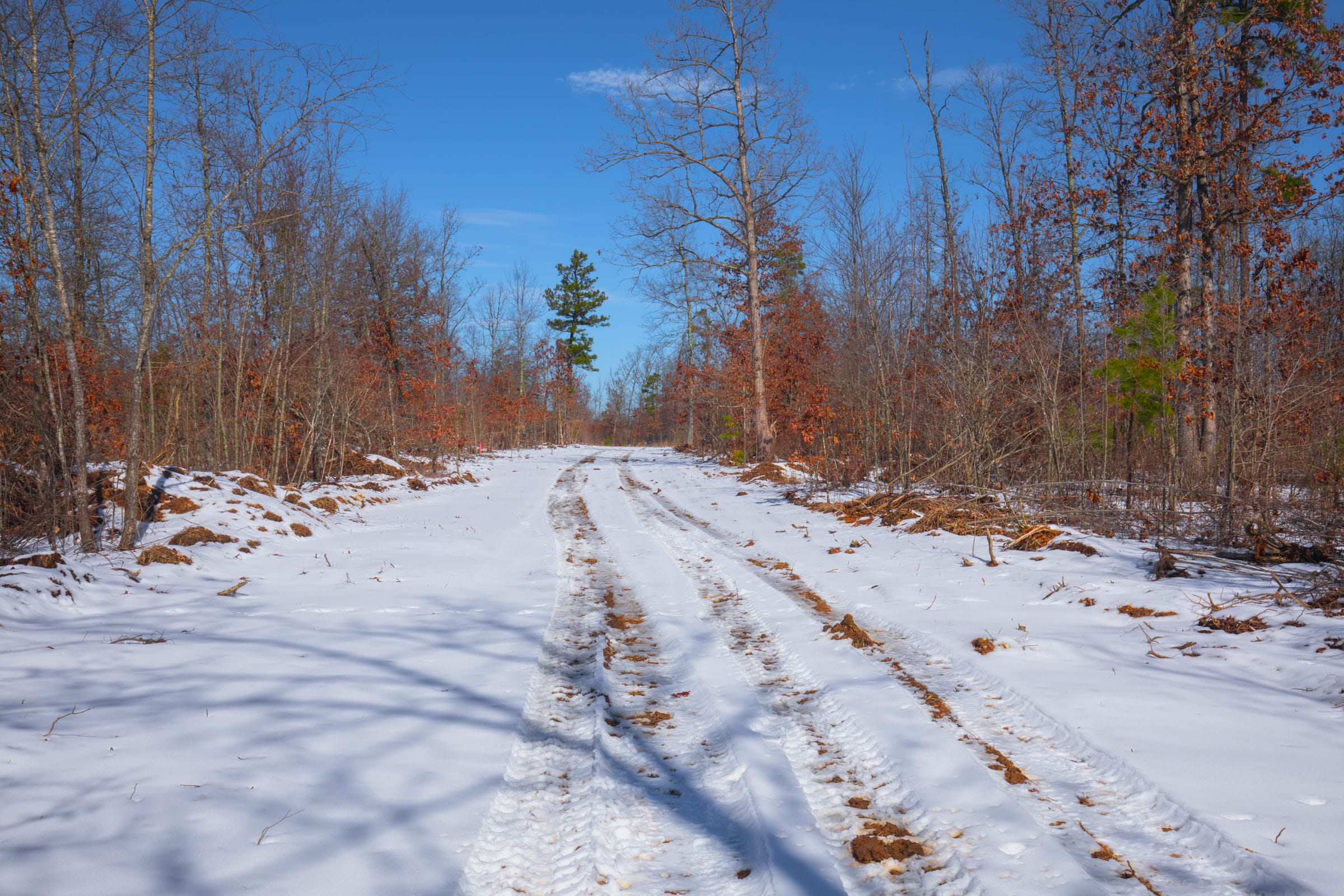 Sleepy Hollow Phase I Tract 39 photo 2
