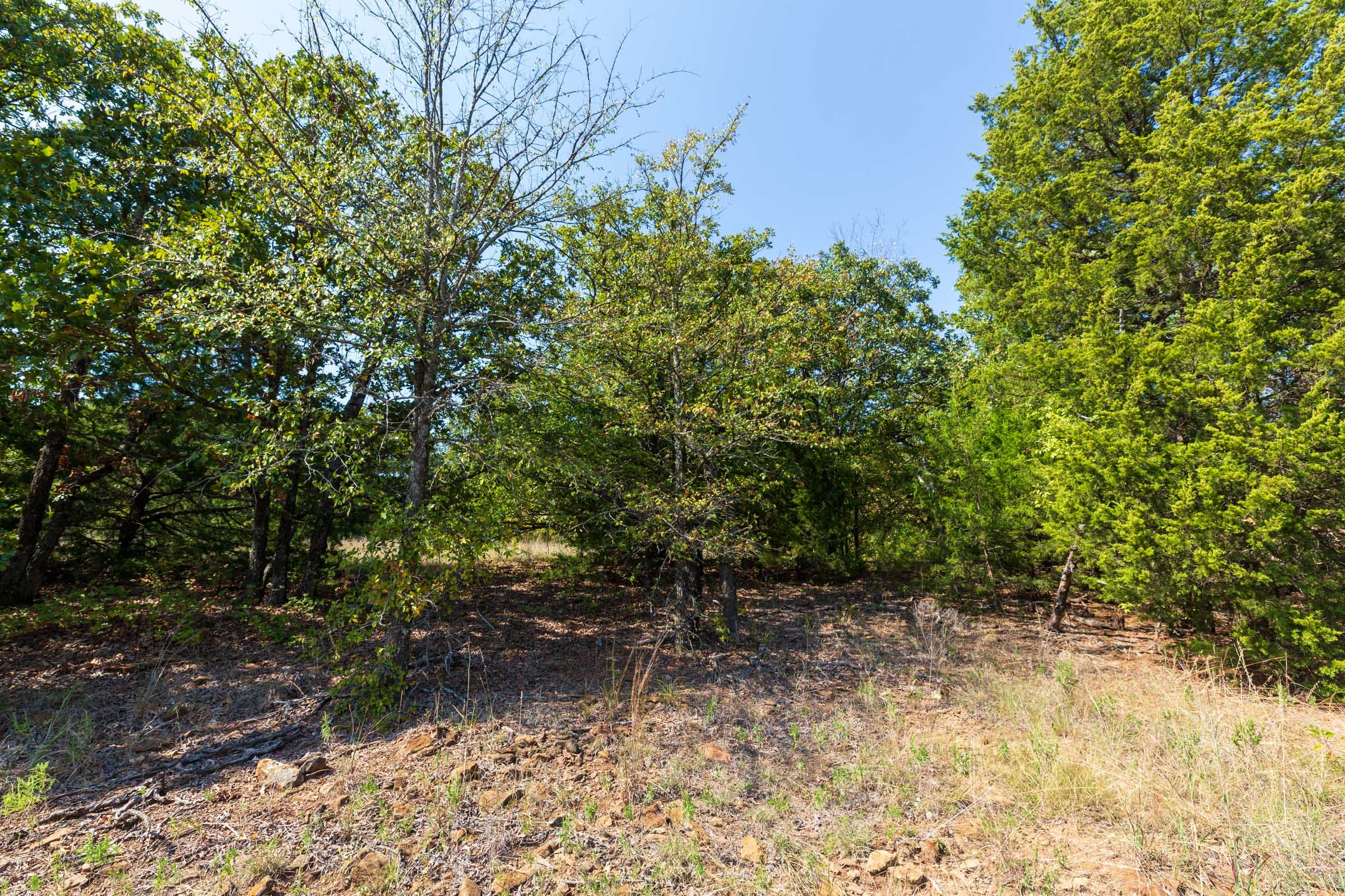 Canyon Creek Tract 17 photo 4