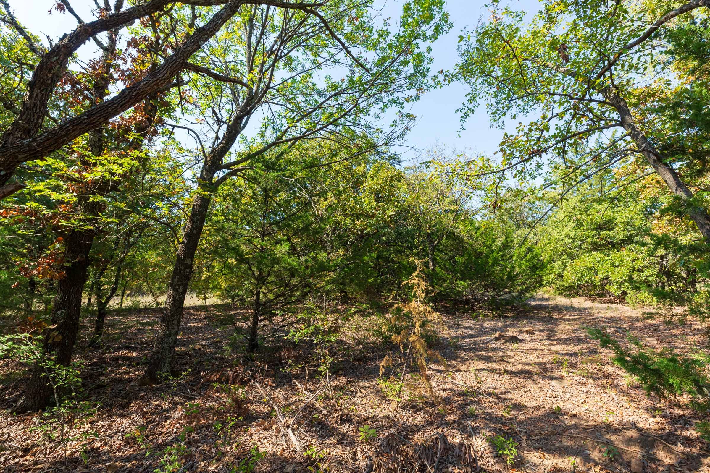 Canyon Creek Tract 17 photo 6