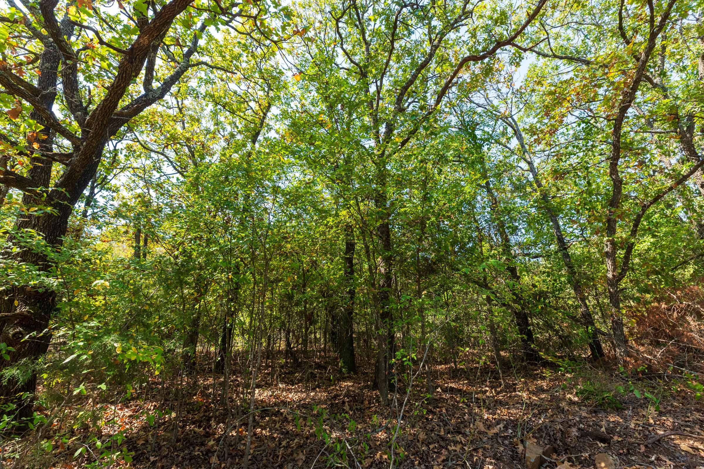 Canyon Creek Tract 17 photo 9