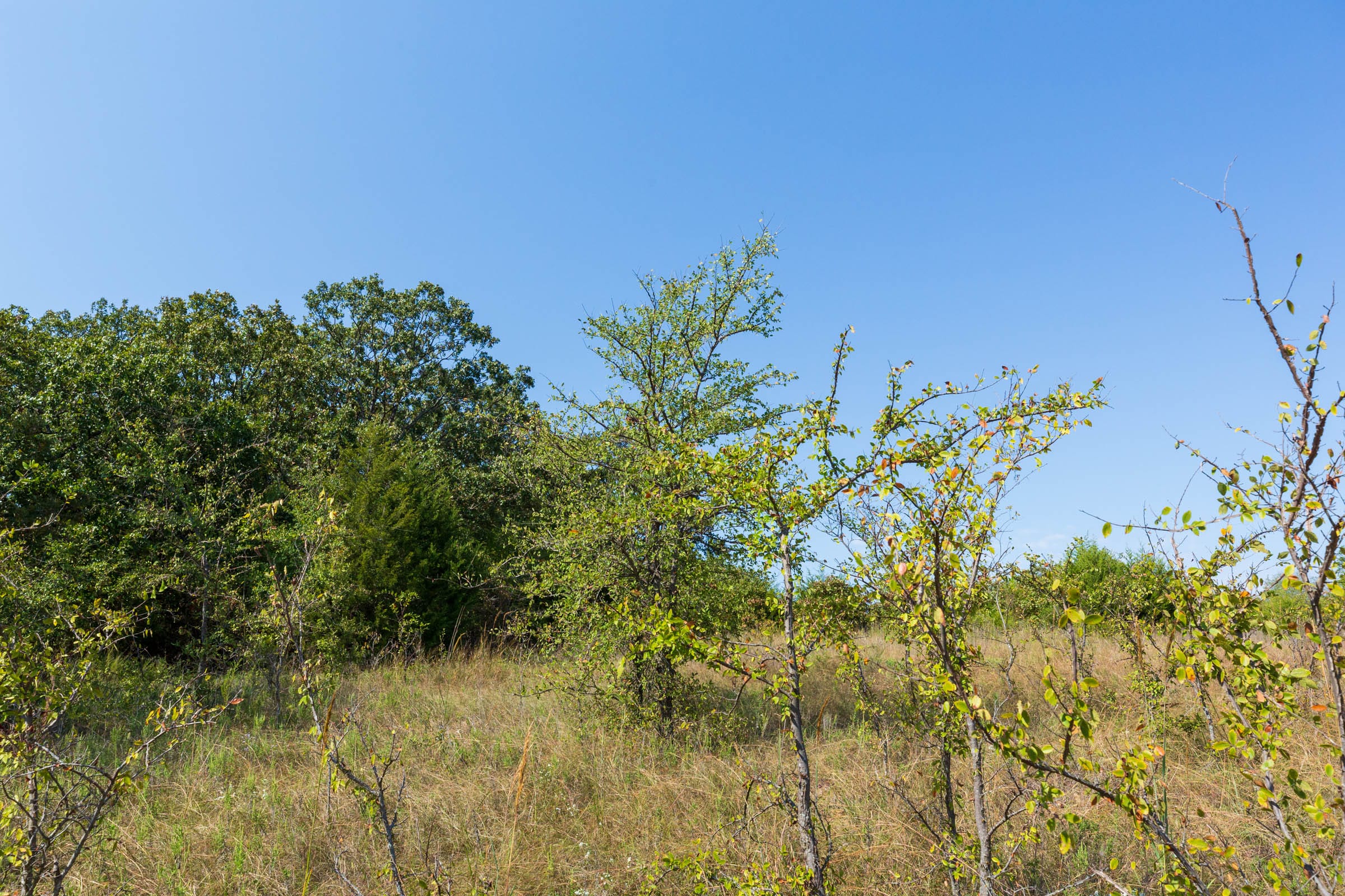 Canyon Creek Tract 17 photo 5