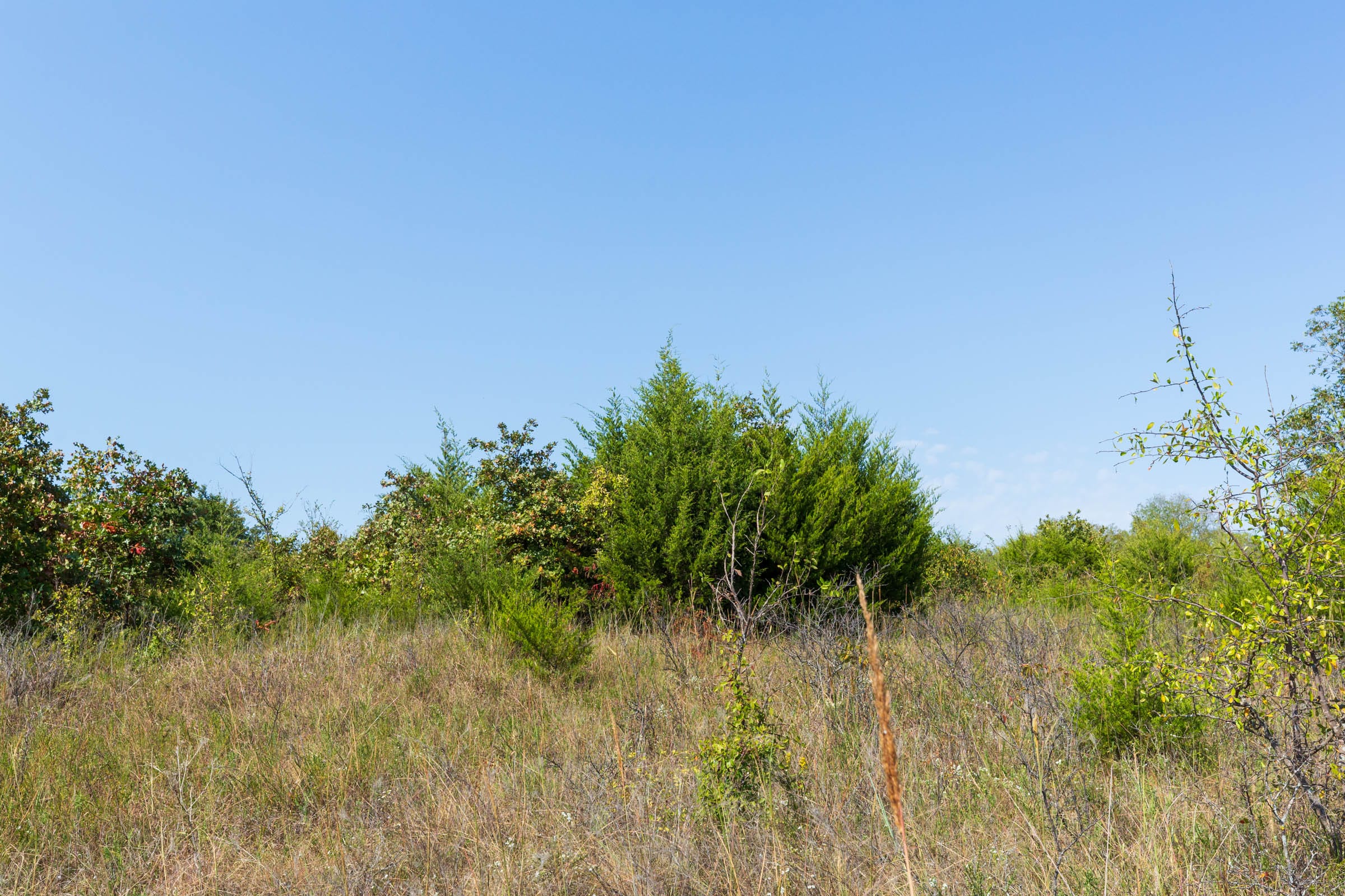 Canyon Creek Tract 17 photo 7
