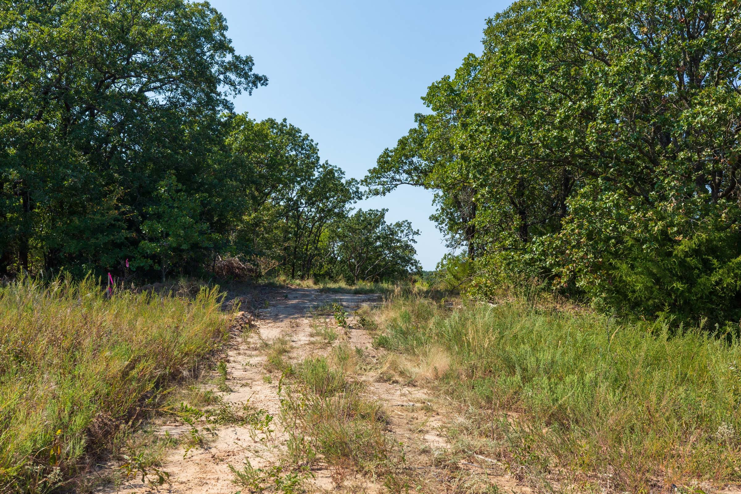 Canyon Creek Tract 17 photo 11
