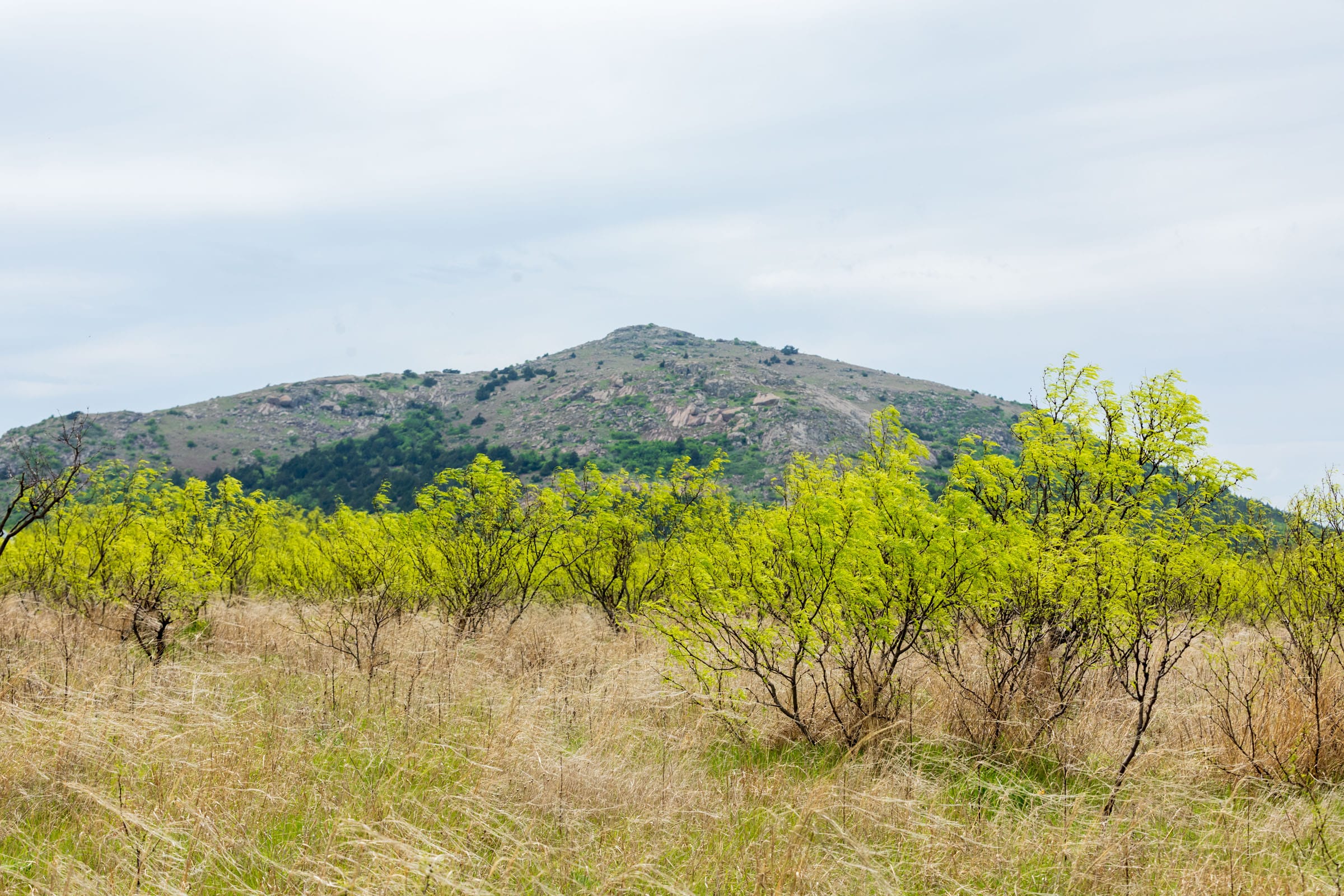 Granite Valley Tract 6 photo 10