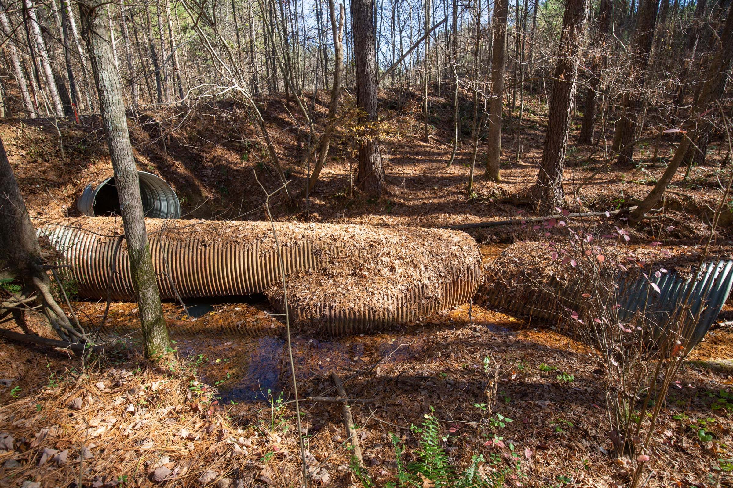Pine Ridge Tract 8 photo 3