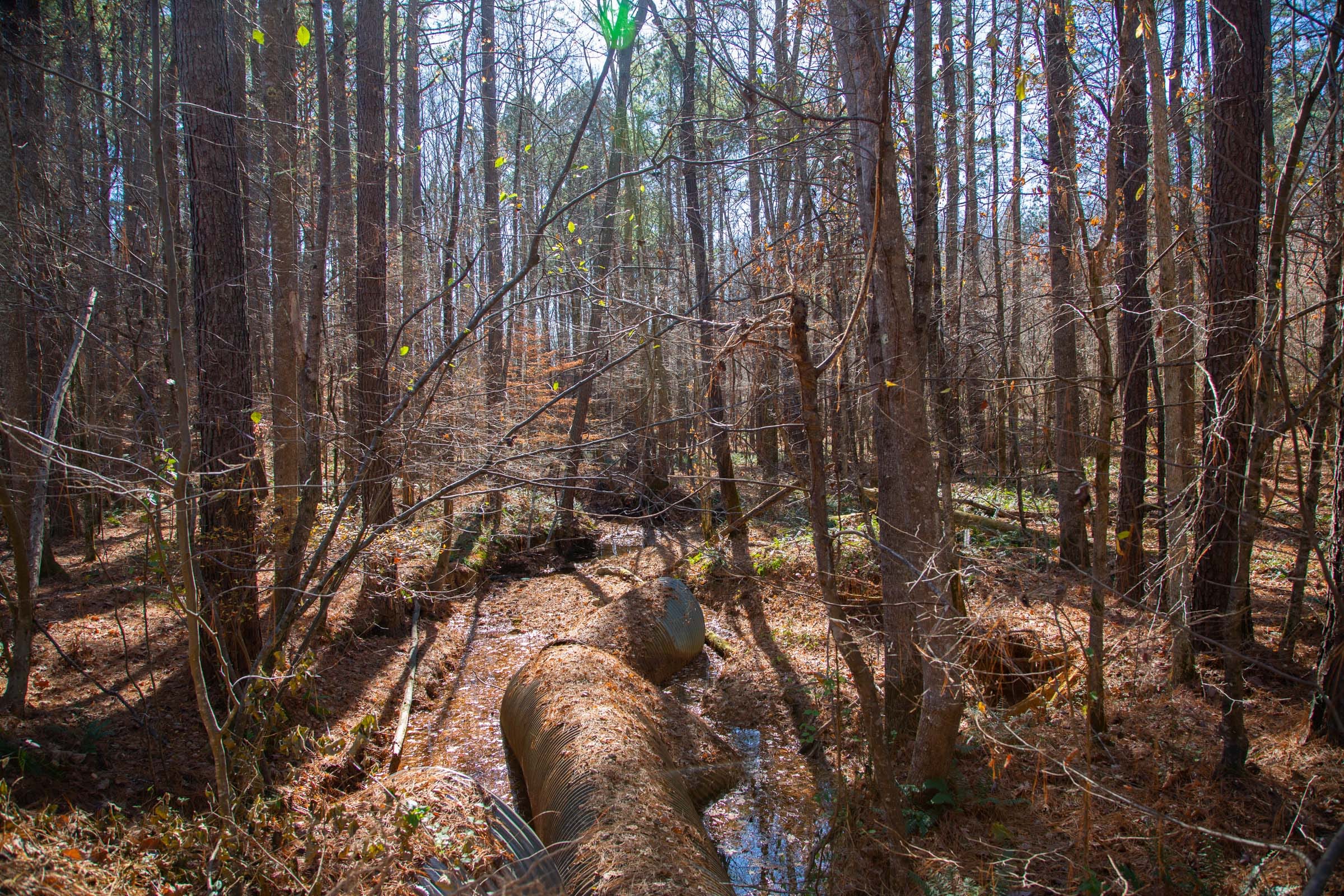 Pine Ridge Tract 8 photo 14