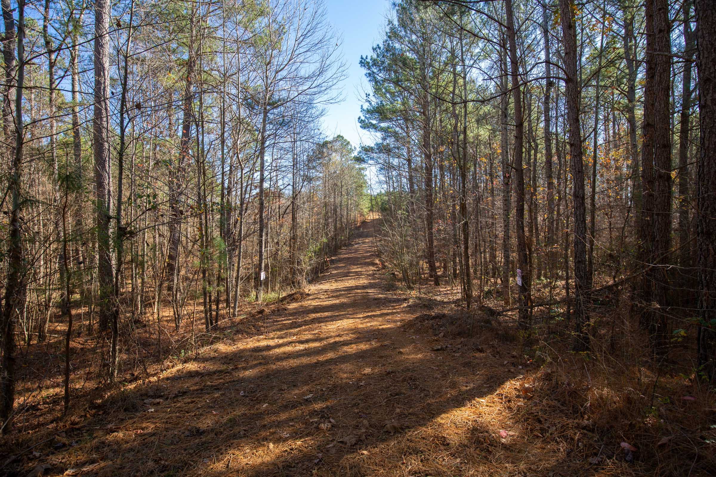 Pine Ridge Tract 8 photo 8