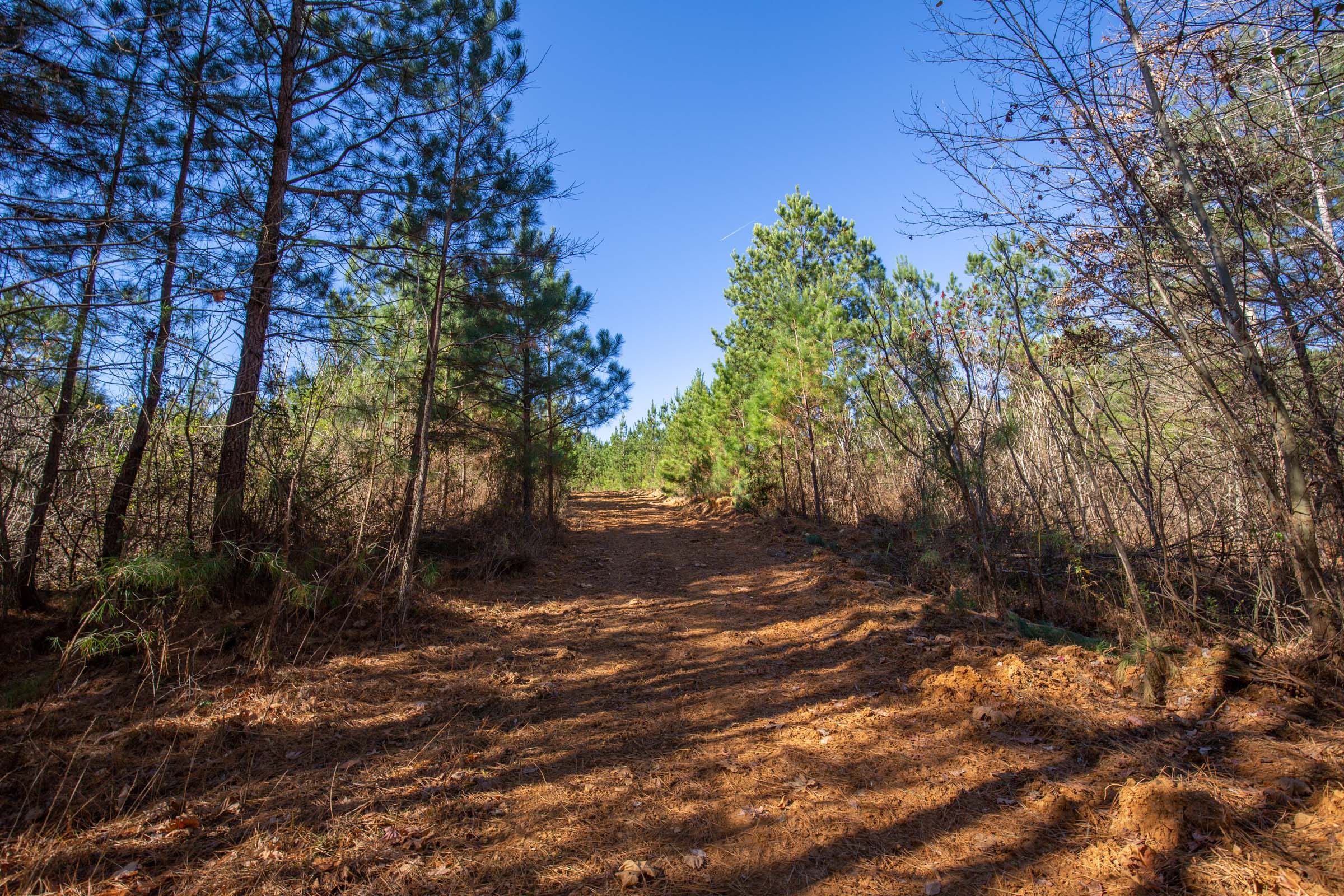 Pine Ridge Tract 8 photo 12