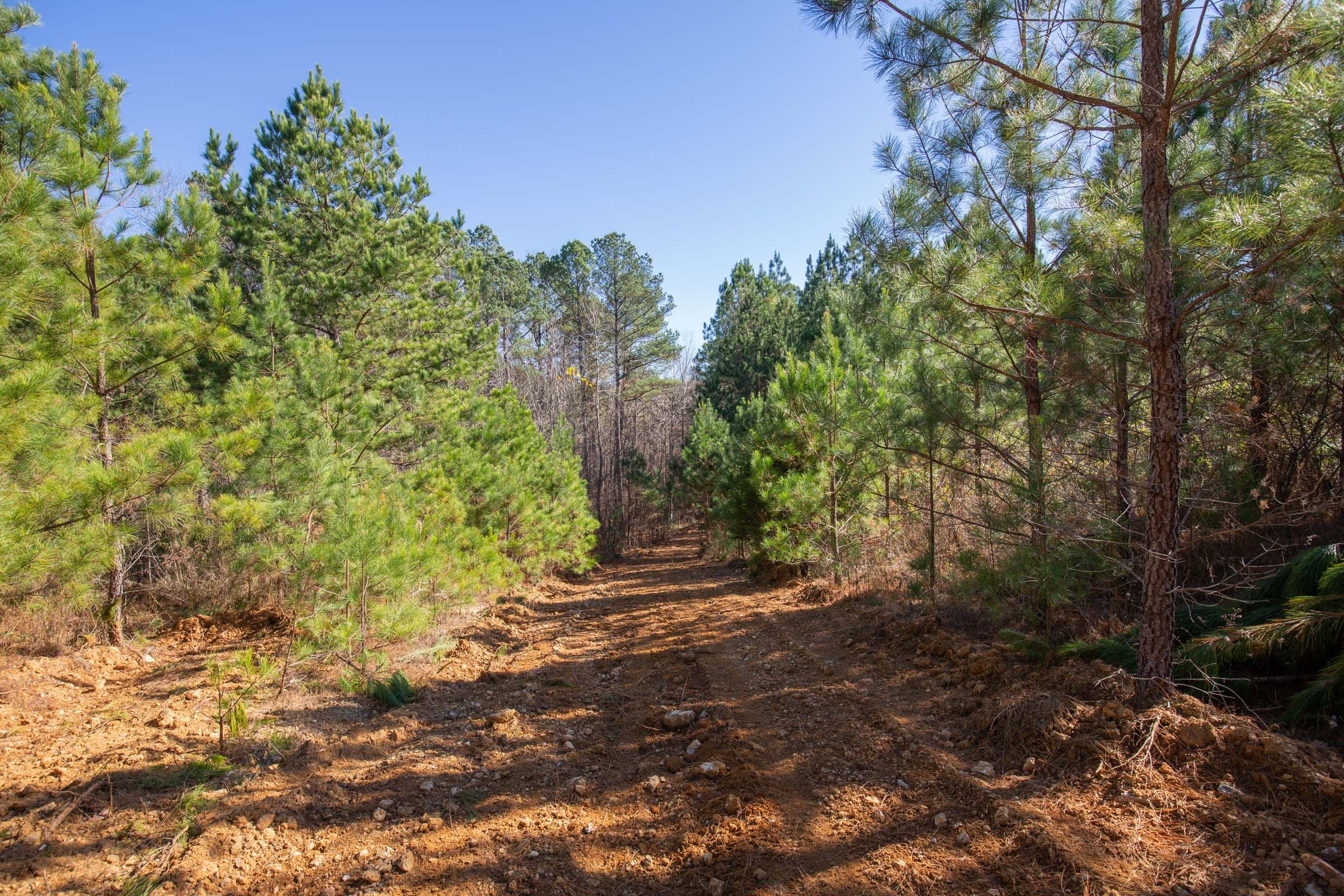 Pine Ridge Tract 8 photo 1