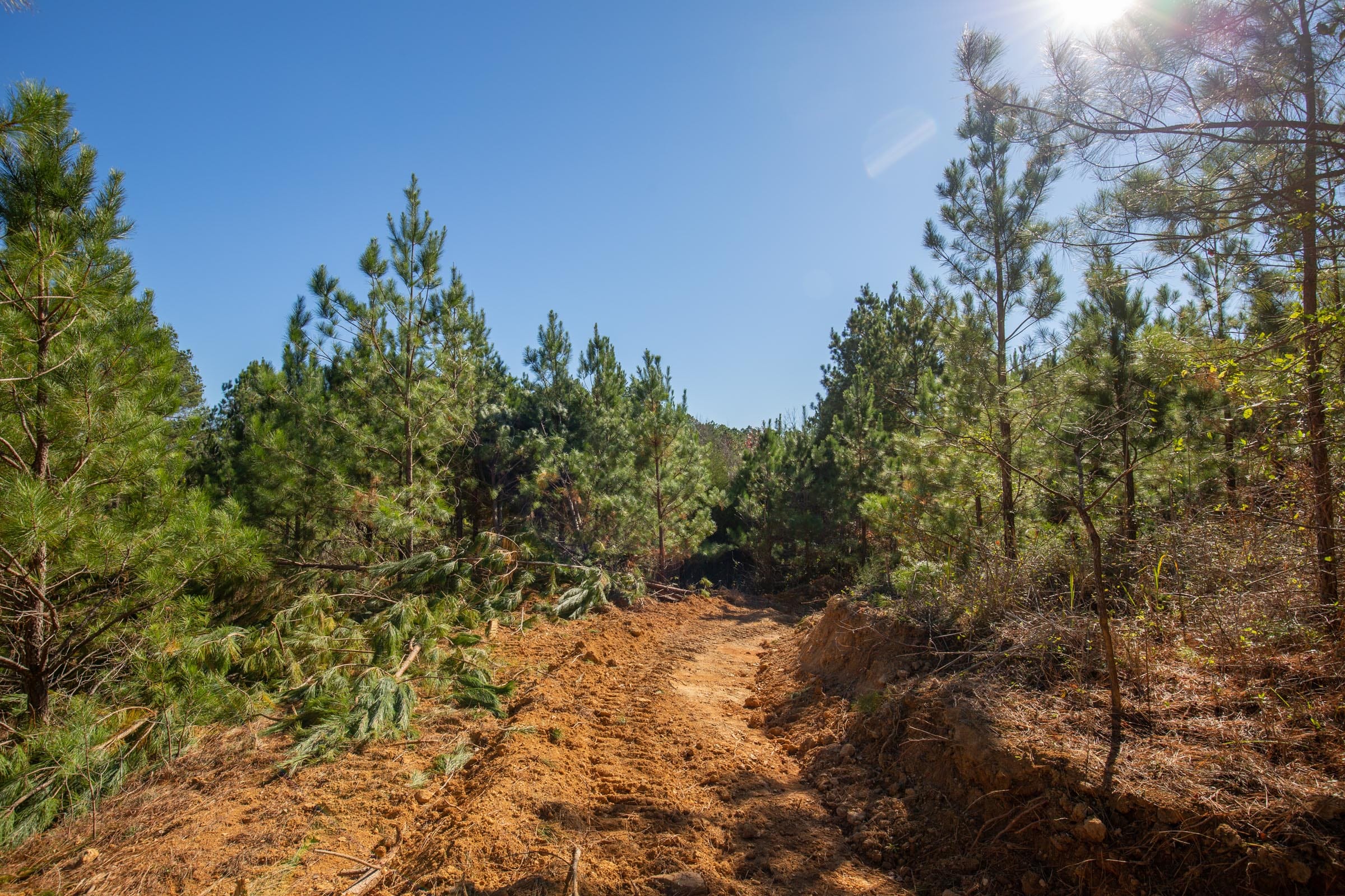 Pine Ridge Tract 8 photo 16
