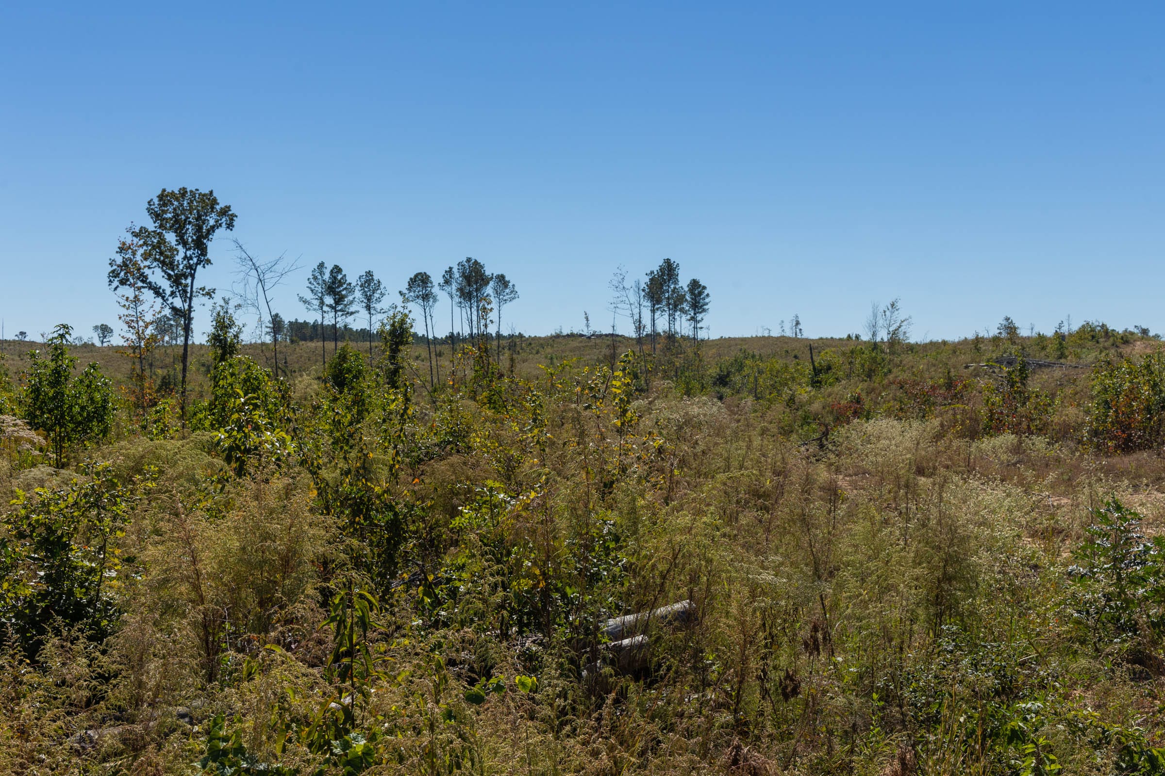Meyer’s Ridge Tract 16 photo 9