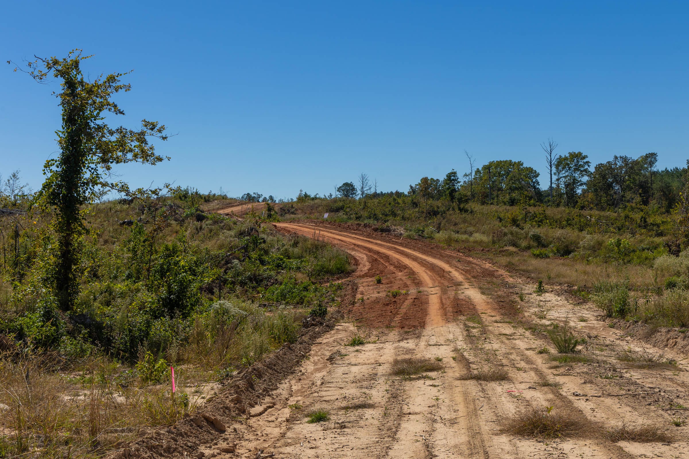 Meyer’s Ridge Tract 16 photo 8