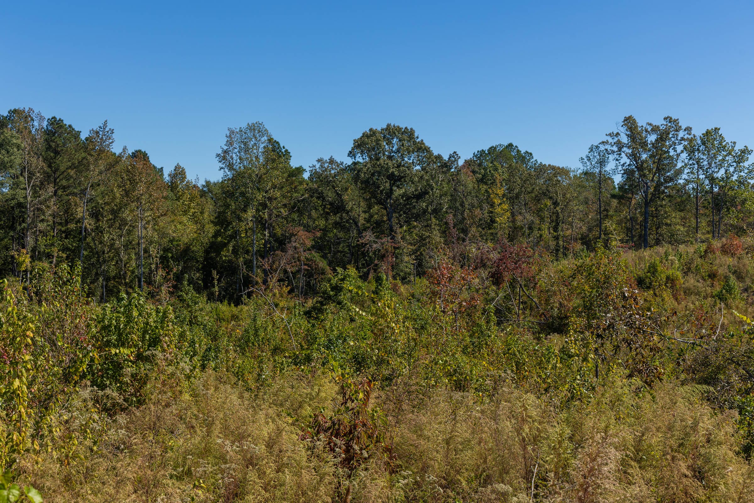 Meyer’s Ridge Tract 16 photo 7