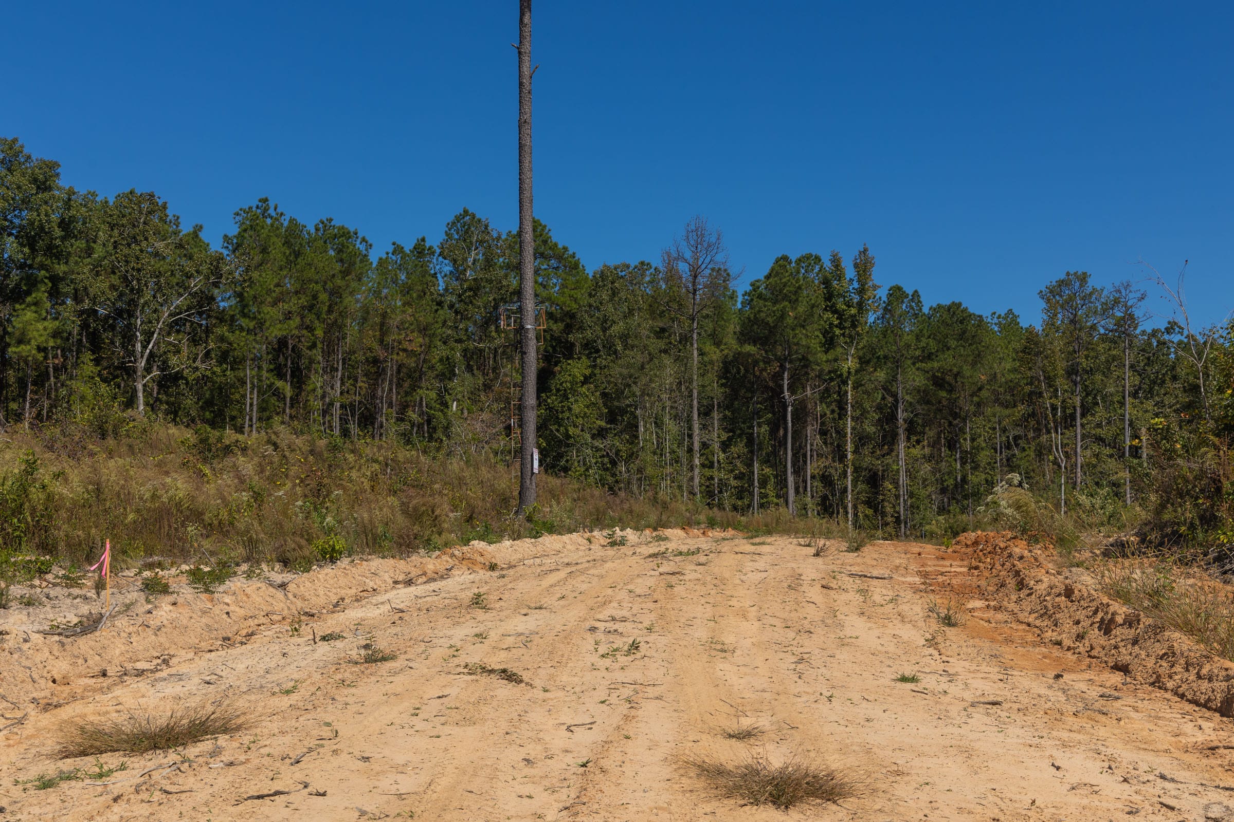 Meyer’s Ridge Tract 16 photo 3