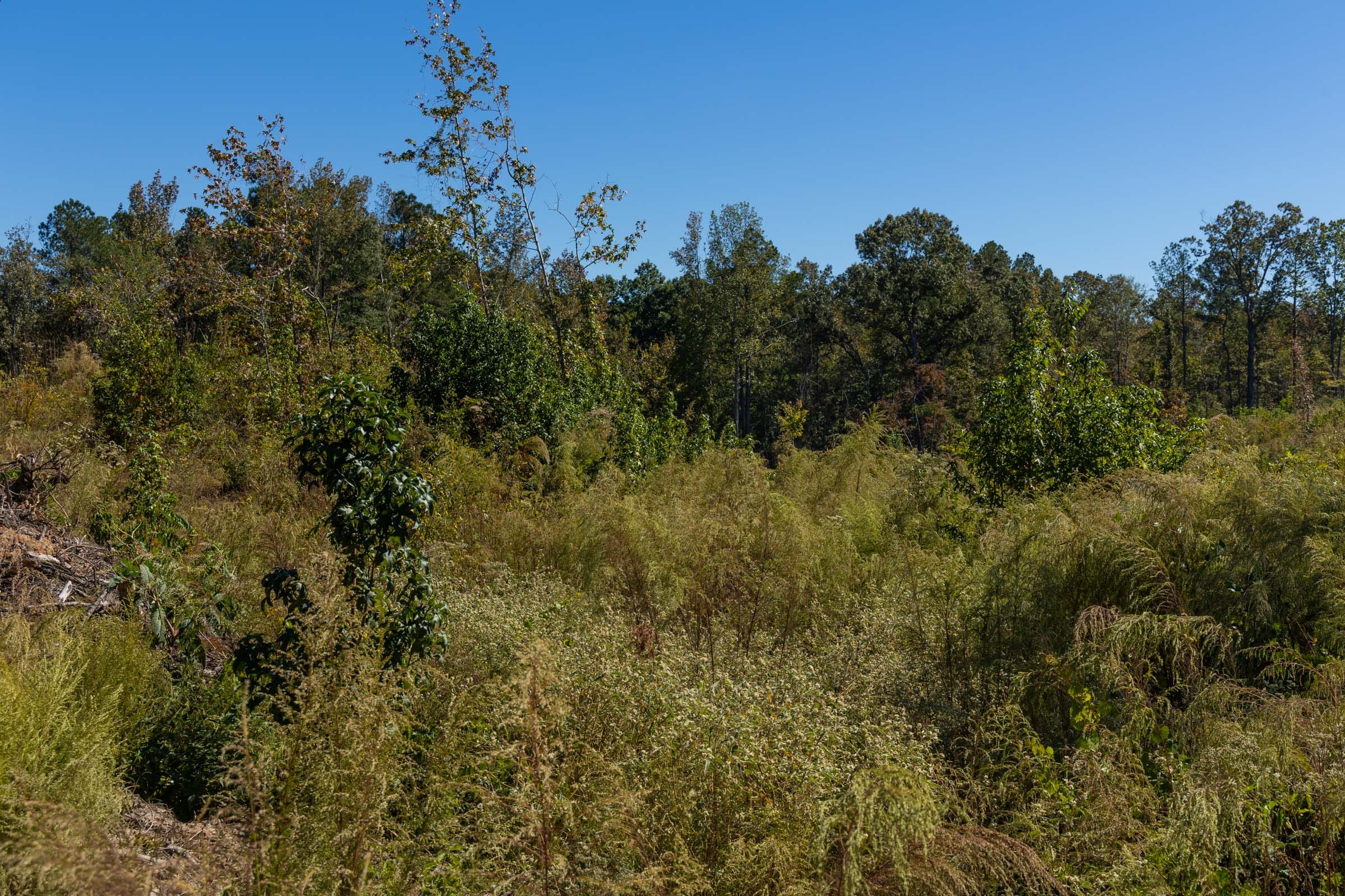 Meyer’s Ridge Tract 16 photo 5