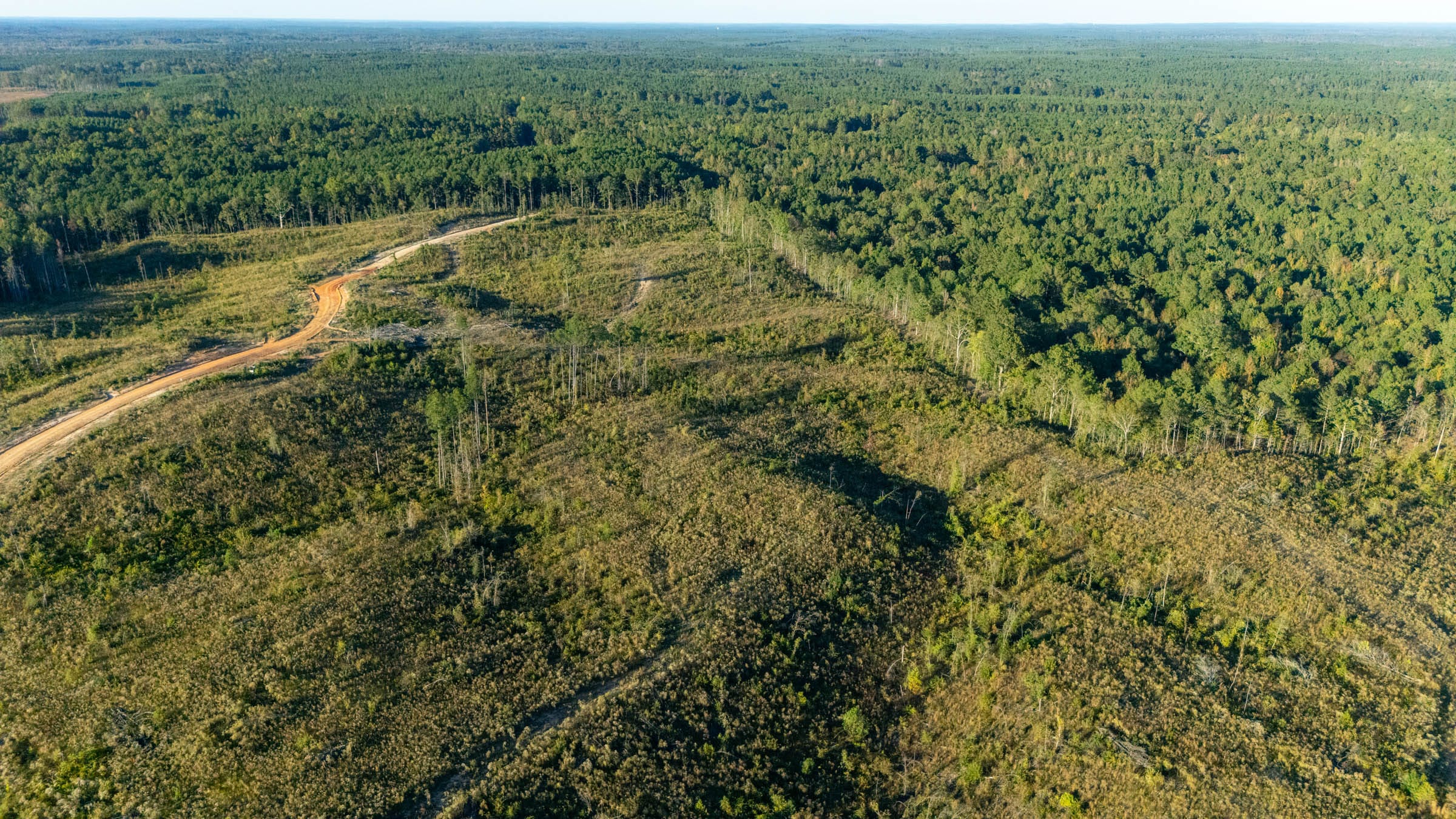Meyer’s Ridge Tract 16 photo 2