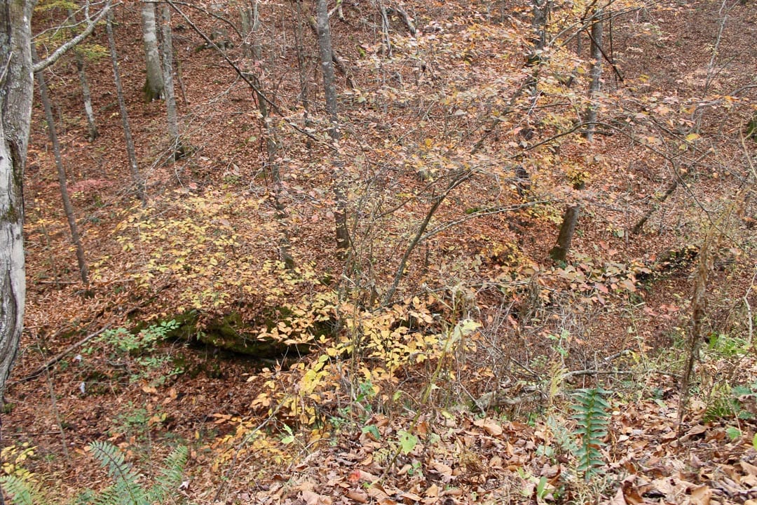 Autumn Ridge Tract 14 photo 2