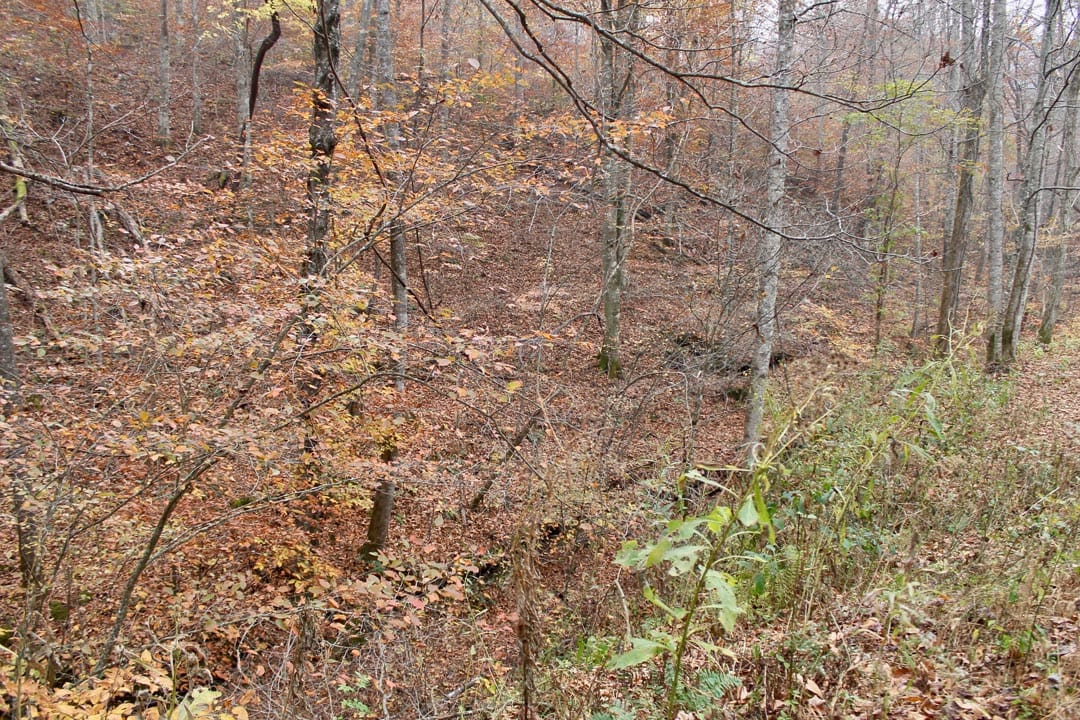 Autumn Ridge Tract 14 photo 3
