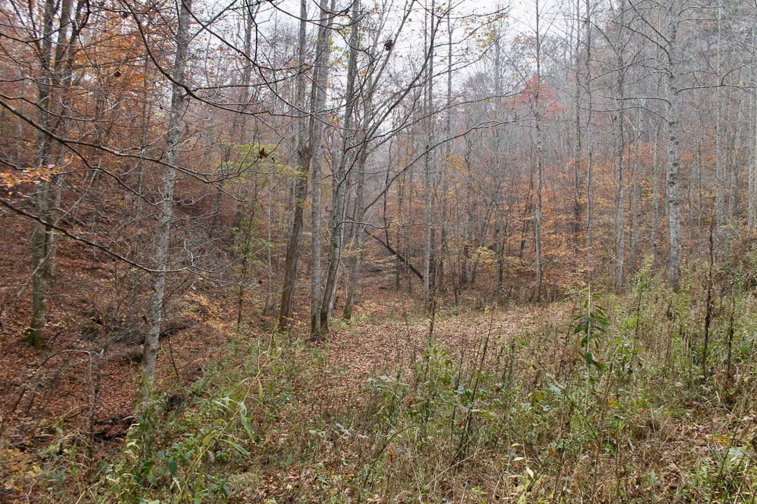 Autumn Ridge Tract 14 photo 4