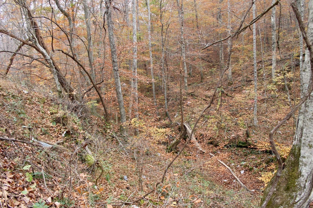 Autumn Ridge Tract 14 photo 5