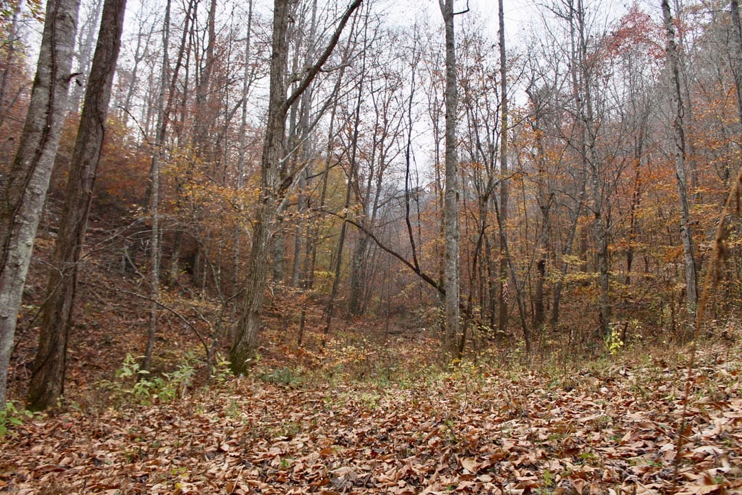 Autumn Ridge Tract 14 photo 8